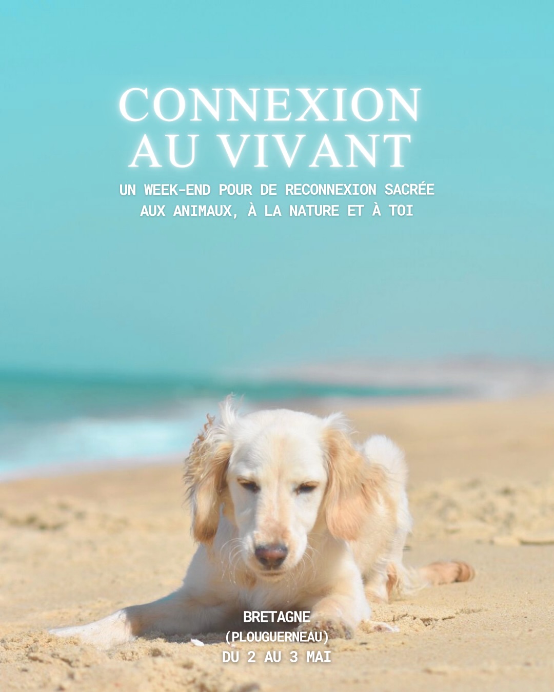 C’est avec une grande joie que je t’annonce la prochaine date pour l’initiation à la communication au vivant 🌿
Un week-end sacré, du 2 au 3 mai 2026, pour te reconnecter à ton essence profonde, aux savoir oubliés, et entrer en dialogue avec le monde animal, en pleine présence.
Guidé·e par mes compagnons animaux, tu recevras leurs messages et leurs enseignements précieux.
Laura et moi serons les gardiennes de ce bel espace, où chaque souffle invite à l’écoute et à la résonance.
✨ 14 places disponibles - un cercle intime pour honorer cette rencontre unique.
✨ Tarif unique : 300 €
✨ Lieu : Bretagne, Plouguerneau (29), un écrin de verdure à quelques pas de la mer, un véritable refuge pour l’âme.
Une parenthèse hors du temps pour débrancher du monde extérieur, ouvrir ton cœur et laisser la sagesse de la nature et des êtres vivants t’accompagner sur le chemin de l’harmonie intérieure.
Pour toute question ou pour rejoindre ce voyage, écris-moi en message privé.
#communicationanimale #comanimale #communicationintuitive#telepathieanimale #retraitespirituelle