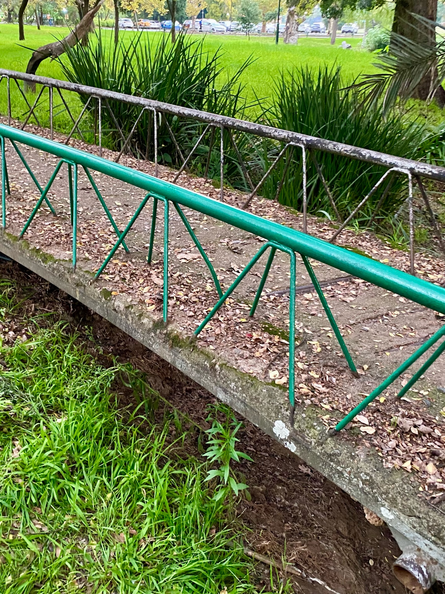 Sometimes all it takes is a lick of paint to lift the mood. 🌳