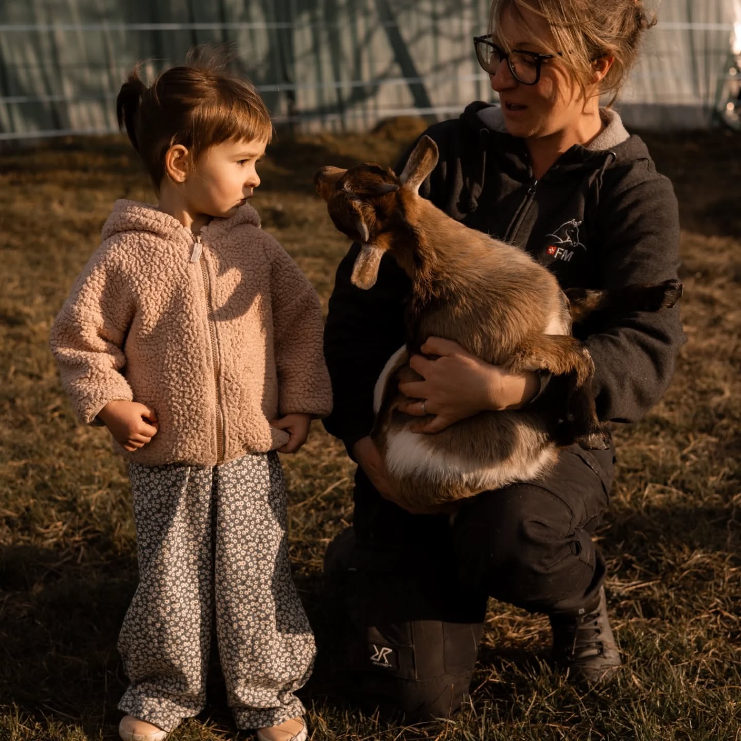 Ici, à la ferme 🤍
J’aime transmettre mon amour des animaux…
Mais surtout, offrir aux enfants la chance de se connecter à eux,
de les approcher, de les comprendre,
et de vivre des moments vrais, simples et précieux 🐐✨
Parce qu’au plus près des animaux,
on apprend tellement… 💫
Magnifique photos @sarahzanone_photographie