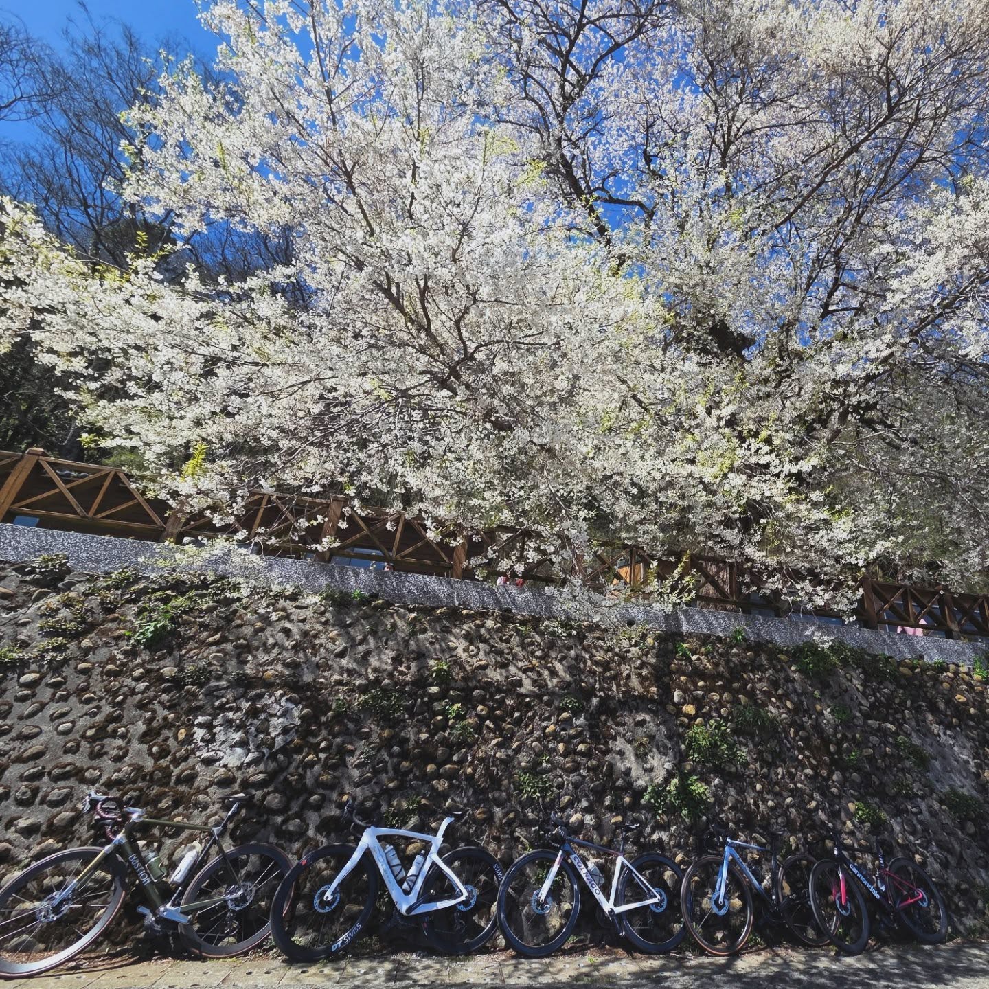 Find Your Freedom in Every Ride
騎出屬於你的自由
#LetsRideTogether