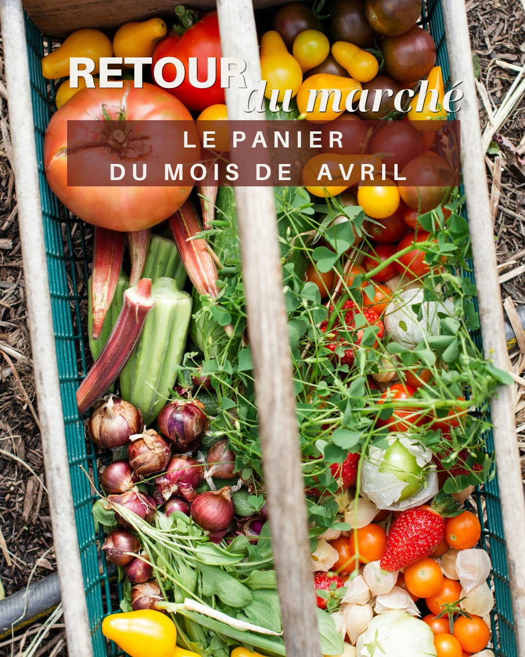 🌾 En Avril, on découvre enfin de nouvelles saveurs et couleurs après les fruits et légumes d'hiver !
🍃De nouvelles herbes aromatiques viennent doucement apporter du peps aux assiettes !
🧺 Le conseil du marché : Certaines fraises et rhubarbes colorent déjà nos étales, mais attention elles ont sans doute poussés sous serre.
Des recettes arrivent bientôt, pour vous aider à cuisiner les produits de saison ...
📌 N'hésitez pas à sauvegarder ce message pour vos prochains cours !
#alimentationlocale #seasonal #agriculteurs