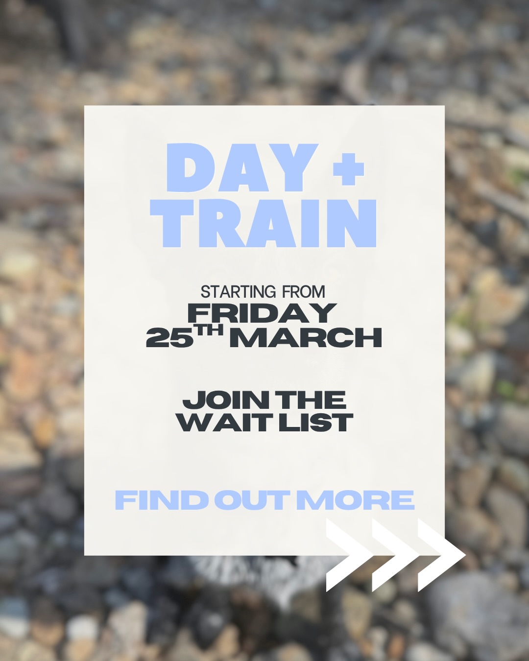 Welcoming ✨ Day and Trains ✨ for our more advanced pups who need that extra little help in public scenarios ❤️🔥
Until April 1st everyone gets the weekly price. Spaces are extremely limited with this service.
#goldcoastsmallbusiness #goldcoastdogs #goldcoastbusiness