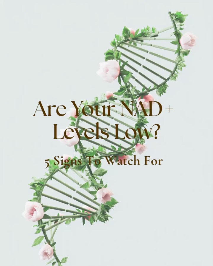 Your body runs on energy at a cellular level, and NAD+ is a big part of that.
If levels drop, your body feels it.
✨ Low energy
✨ Brain fog
✨ Slower recovery
✨ Premature aging signs
✨ Low motivation
These aren’t just “normal”… they could be your cells asking for support.