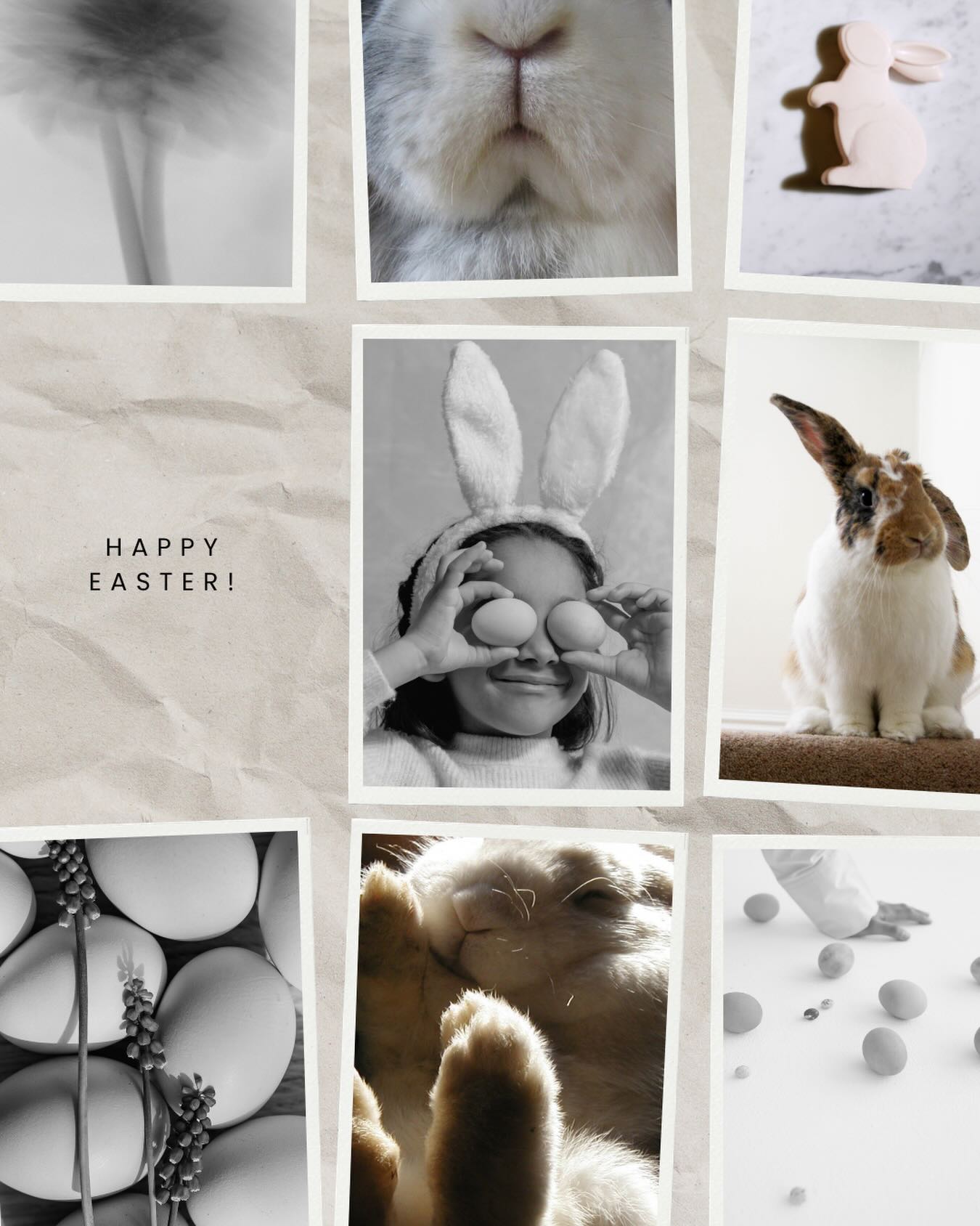 Embellir will be closed Good Friday 3rd April,
We will still be working Saturday the 4th!
Have a lovely Easter & safe travels 🥚