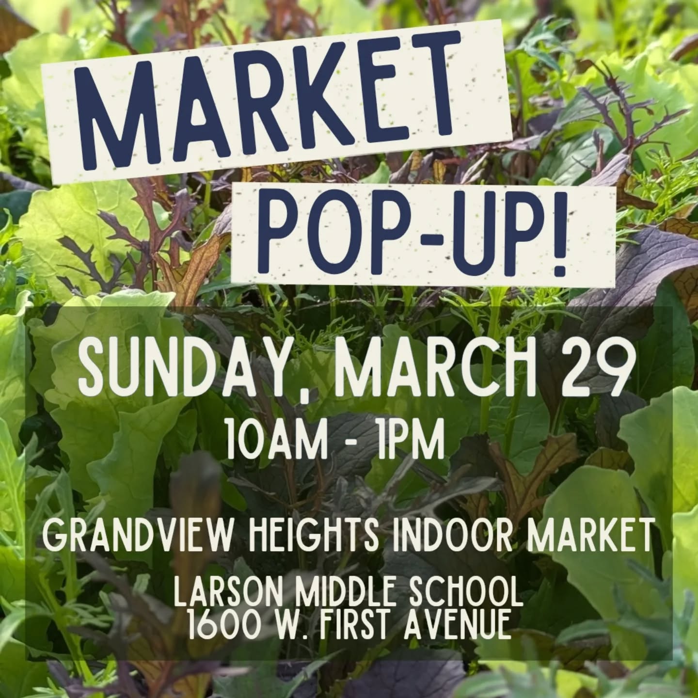 This Sunday! We're coming back to the @grandviewheightsfarmersmarket with an abundance of greens! From salad to spinach to Swiss chard, you'll be powered up to tackle anything 💪🏻🏋🏻♀️ this week...or maybe just to recover from spring break 😂
We'll also have carrots, fragrant cilantro (very popular last time!), and a limited supply of the first spring radishes of the season! Everything is grown by us and certified organic 🌱✅
We still have @columbusfarmclub CSA spots open, and would love to tell you all about it!
It's a fun market with lots of fantastic vendors - a great way to spend a Sunday!
#ohiogrown #organic #ediblecolumbus #eat614
#knowyourfarmer