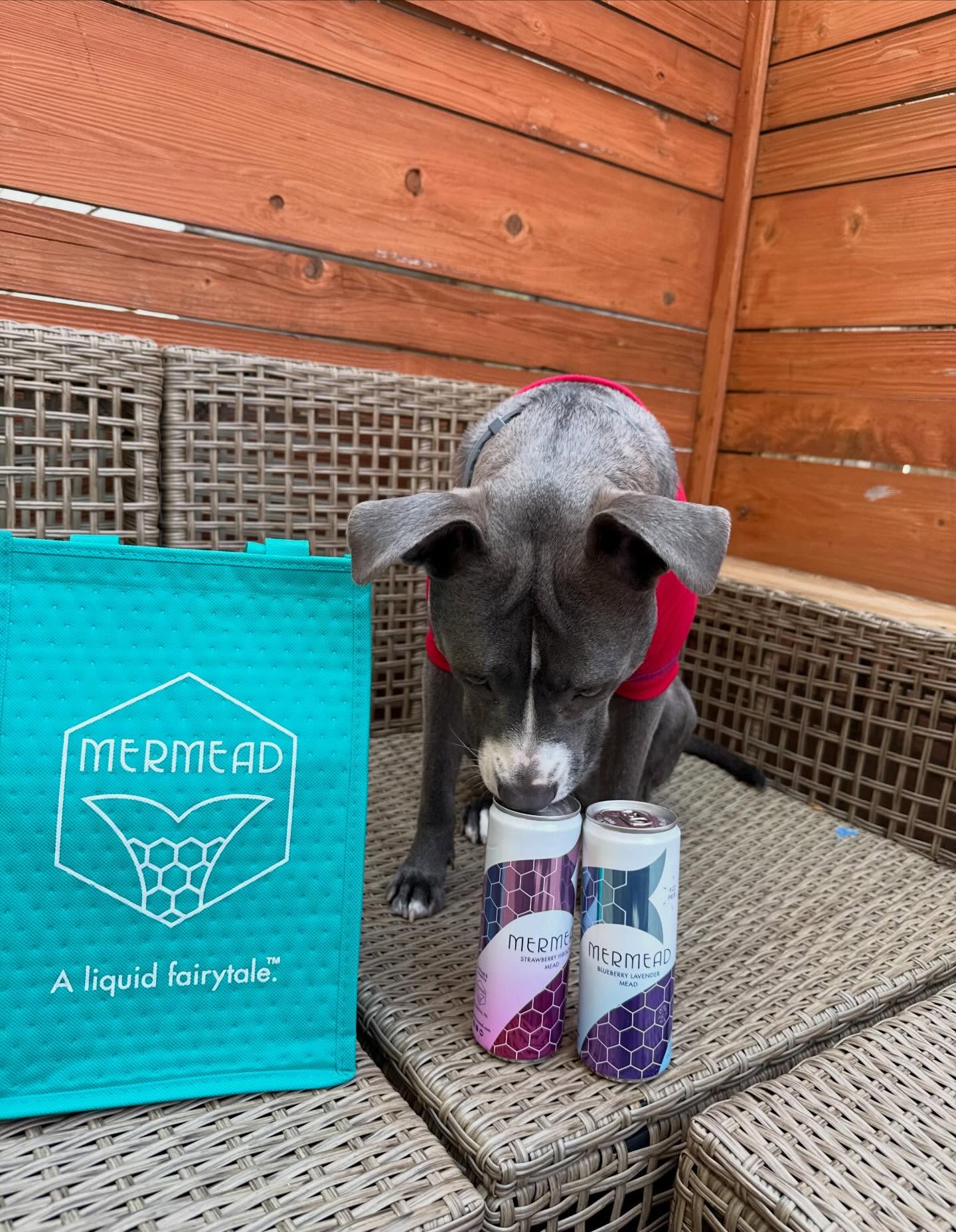 Sadie is ready for opening day!
Phillies gear✅ Mermead✅
#phillies #openingday #philly #mead #localbusiness