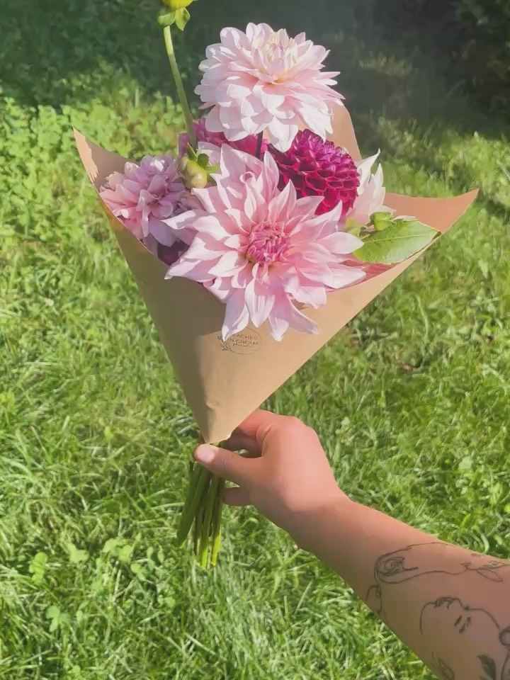 The wait is almost over!
Our dahlia tuber sale will open on Saturday, April 11th at 10AM 🌱
This will be the first of at least two sales! We have lots of tubers sprouting and ready to go to their new homes, which will give us space to start even more dahlias 🌸 Dahlia varieties are already listed on our website for you to check out ahead of time
Can’t wait to share the abundance of all our hard work this winter with you!