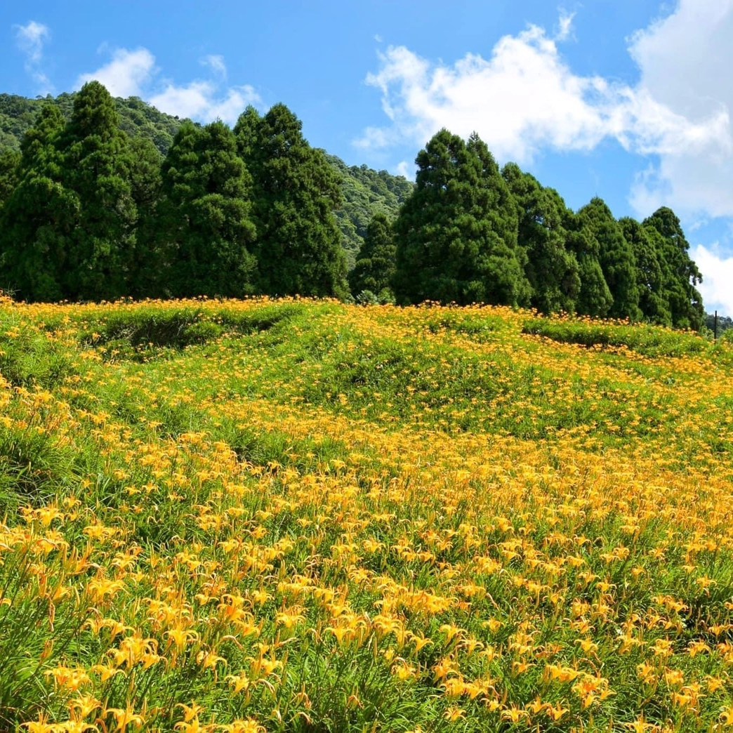It's time to visit Eastern Valley of Taiwan
#LetsRideTogether
#LetsRideTaiwan
#台灣自行車旅遊節
#騎樂趣單車旅運
#花東縱谷