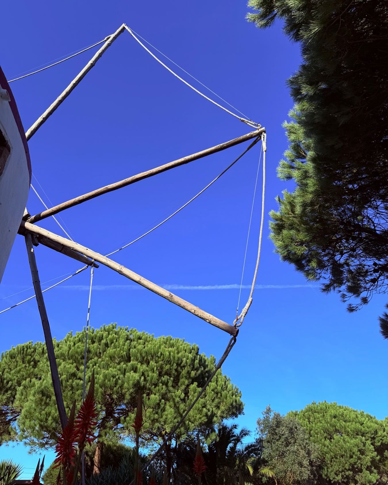 Cada vez que olhamos para o nosso moinho, preservado no tempo e na história, ele revela-se de forma diferente…seja uma nova luz, um novo céu, um novo prisma de beleza que não tínhamos visto antes.
É assim também com cada visita ao Moinho Dom Quixote. Novos sabores, novas descobertas, novas razões para voltar.
A beleza está sempre aqui. Só precisas de um novo ponto de vista. 🌿😉
Reserva a tua mesa em moinhodomquixote.com
____________________
Every time we look at our beautiful windmill, preserved in time and history, it reveals itself differently… maybe with a new light, a new sky, a new prism of beauty we hadn’t noticed before.
And so it is with every visit to Moinho Dom Quixote. New flavours, new discoveries, new reasons to return.
The beauty is always here. You just need a new point of view. 🌿😉
Book your table at moinhodomquixote.com
#MoinhoLovers #MoinhoDomQuixote #Sintra