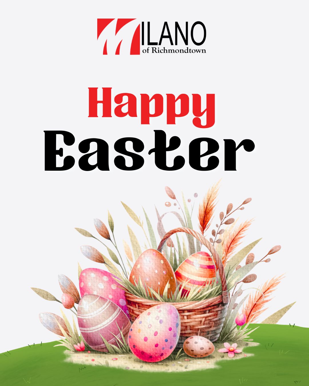 Wishing everyone a Happy Easter full of joy and warmth. 🌼
