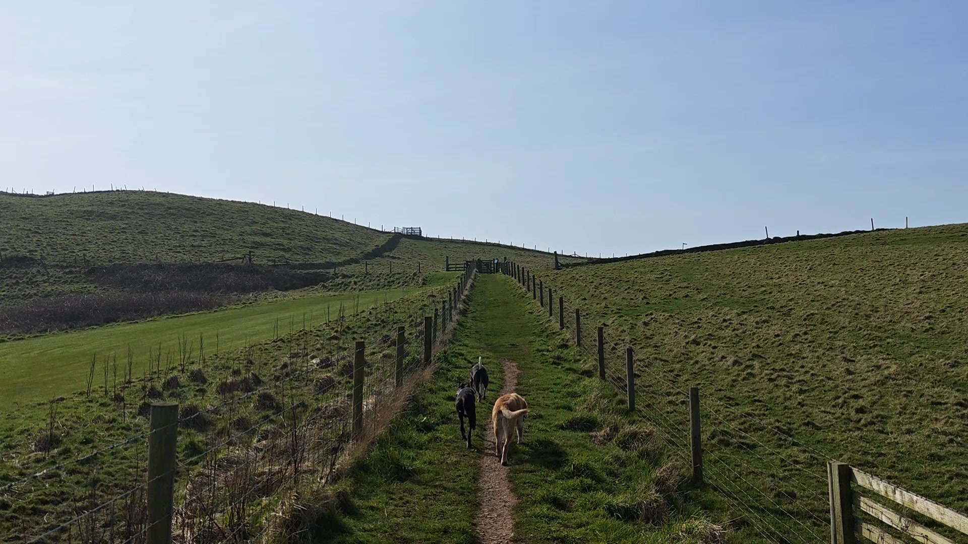 More sunshine please π€π
Ollie, Poppy and Buzz