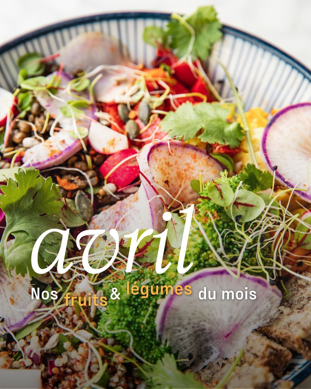 Dom vous dévoile les super pouvoirs des fruits et légumes d’avril !
Manger de saison, c’est bon pour la planète mais aussi pour ton corps. Chez Judy, c’est cette philosophie qui inspire tous nos plats 🌱
#printemps #fruitsprintemps #legumesprintemps #sansglutenparis #naturopathie #healthyparis