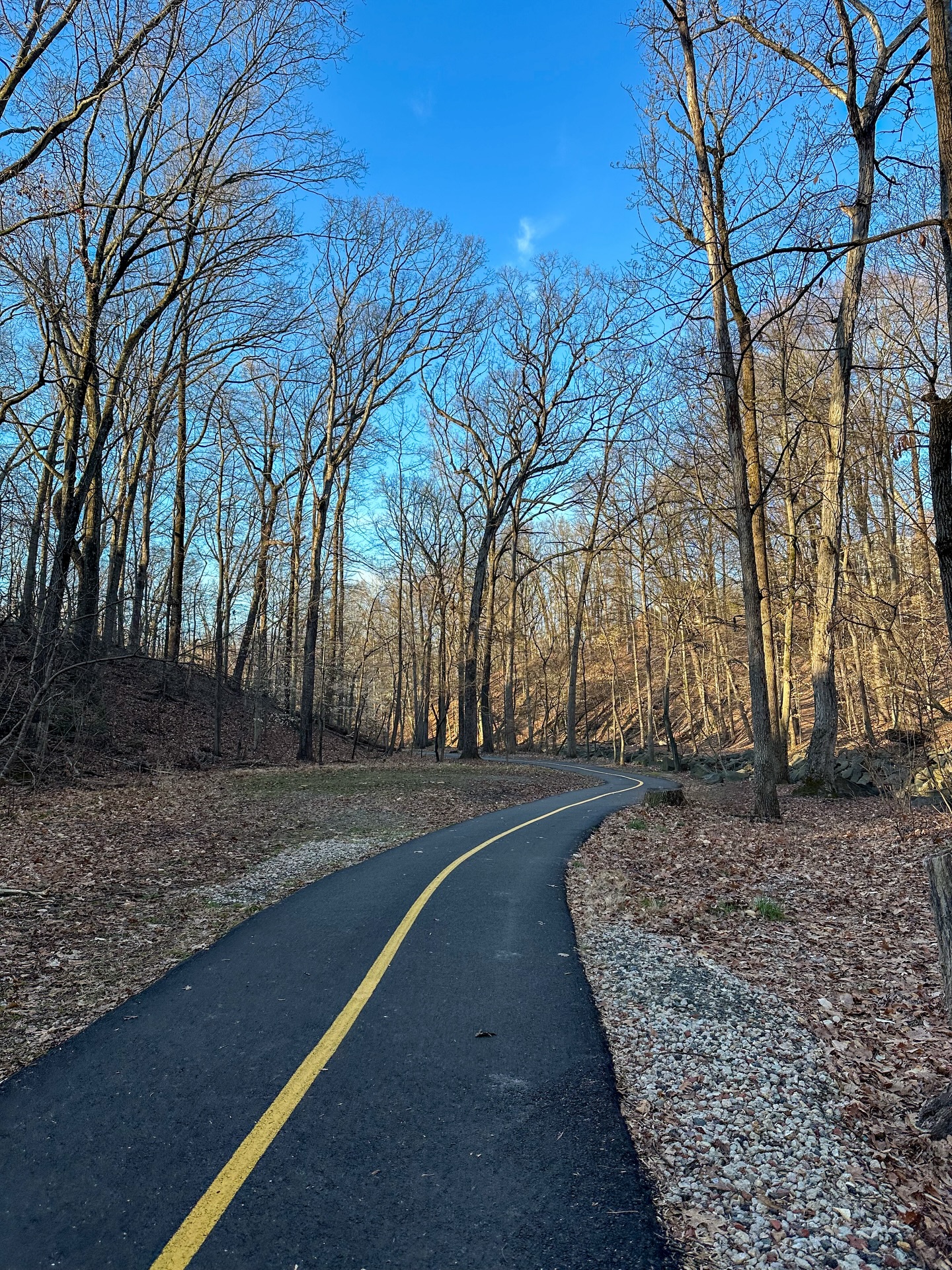 A weekend well spent in DMV!
Day 1:
- went for a run/walk around Arlington to explore
- went out to Tysons for lunch with my boyfriend and his coworkers at the Galleria
- Dinner at @upsideonmoore in Rosslyn
- Line dancing at @pennsocialdc and mechanical bull riding at @boe__va
Morning of Day 2:
- delicious bagel sandwich from @callyourmotherdeli (they’re opening in Ballston!!!)
- Walk around Georgetown
Stay tuned for the rest of Day 2 & Day 3!!
Ps. The weather was amazinggggg
#Only1DC #LoveVA #TysonsGalleria #PennQuarter #NOVA