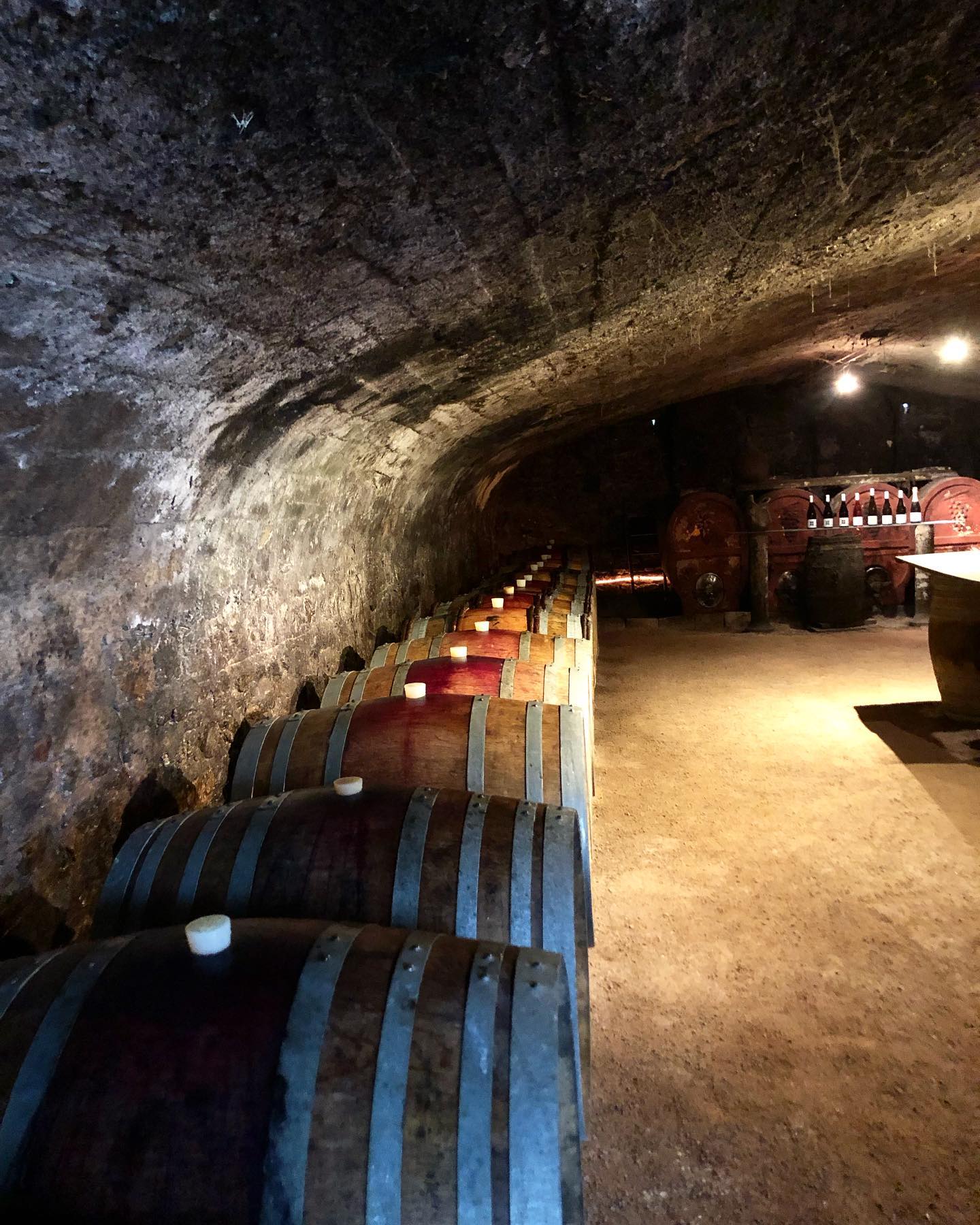 Nous avons fini d’entonner ce millésime 2022 très prometteur !
Rendez vous dans quelques mois…
#coteroannaise
#ambierle
#domainedespalais #loirevolcanique #feudelamadone #tasseedesanges #tempsdesgriottes #echodunecloche
#wine
#winelover
#gamaysaintromain