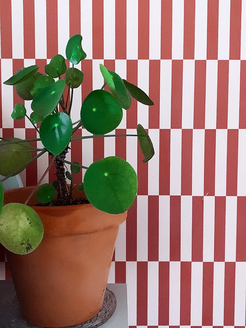 • BREATHWORK & NIDRA •
Quel bonheur d’avoir coanimé avec Johanna de @feetonzarbiayoga au @laabstudio_ 🫶🏼
Merci pour cette belle opportunité !
J’ai deja hâte des prochaines fois
❤️