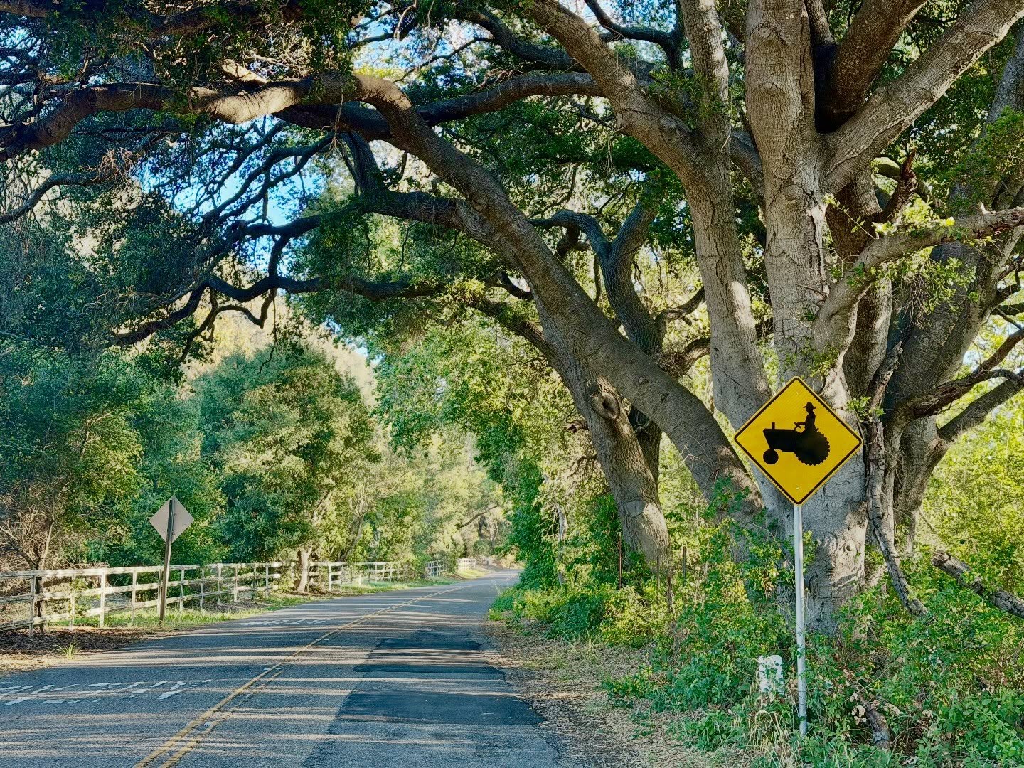The pace is a little different here.
The Central Coast engages with the indulgences of natural living. Castlebrook Cabin is located in a micro climate of warm air that lingers in the coastal canyon, pushed inland by the marine layer.
Morning fog burns off to glorious days of apple orchards, vineyards, old California oaks and babbling brooks.
We invite you to move slower. Take in our beautiful world and restore what lives within. Your own wellness, creativity and wholeness unplugged from the constant surges of the world at large.
Retreat, rest and restore.
#coastalstay #restore #slovacationrental #castelbrook abin #sanluisobispo