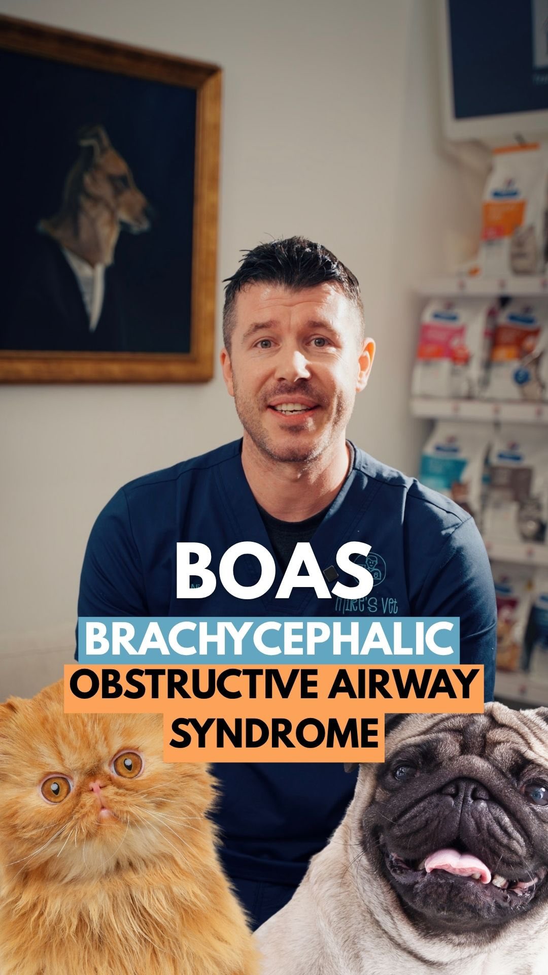 Flat-faced (brachycephalic) pets can suffer from BOAS (Brachycephalic Obstructive Airway Syndrome), making everyday breathing a challenge. Watch for the symptoms Dr. Nick mentioned in the video and if you notice anything abnormal, check with your vet immediately. 🐾
@mikesvetdxb
#vetlife #vetmed #dogsofinstagram #vetclinic #vetmedicine