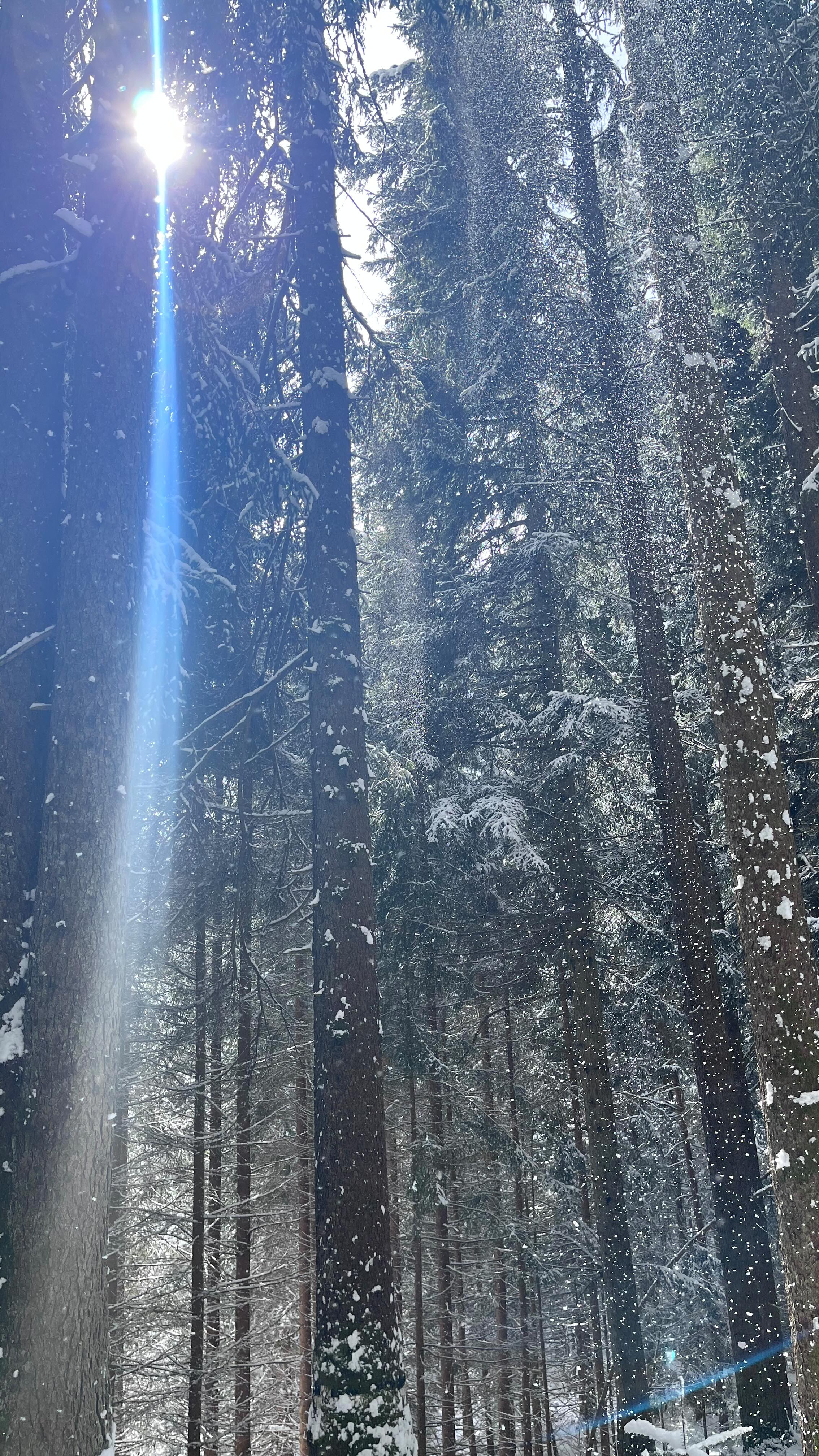 Frau Holle ich denk du brauchst Hilfe 🤭
Wahnsinn was da wieder runter kam heute- der Winter gibt noch nicht auf 😂
Also das beste draus machen und den Schnee noch genießen.. weiiiilllll am Freitag ist es dann vorbei mit dem Winter und es soll fein warm werden 😁
Es bleibt spannend!
Bei euch so??
Schnee oder schon voll Grün??
Alles Liebe, eure Meli-mint
#winter #pov #crazy #pow