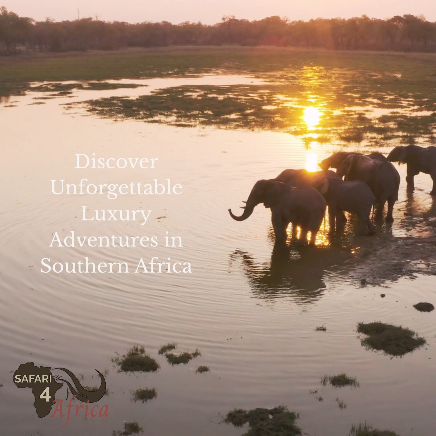 Welcome to Safari4Africa — Curating extraordinary luxury escapes across Southern Africa, crafted for travellers who seek elegance in every adventure. ✨
#Safari4Africa #Safari
#LuxuryTravel #LuxurySafari #BespokeTravel #ExclusiveTravel
#SafariExperience #AfricanSafari #WildlifeTravel
#SouthernAfrica #ExploreAfrica #AfricaTravel #VisitAfrica #SafariAfrica
#LuxuryLodge #SafariLodge #LuxuryCamp #FiveStarTravel
#InstaTravel #TravelInspiration #LuxuryEscapes
#krugernationalpark
#capetown
#southafrica
#namibia
#botswana
#zimbabwe