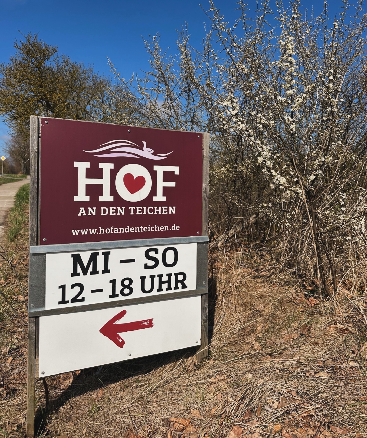 😎🫶Ab heute haben wir wieder von 12-18 Uhr von mittwochs bis sonntags für euch geöffnet! Hello summer!