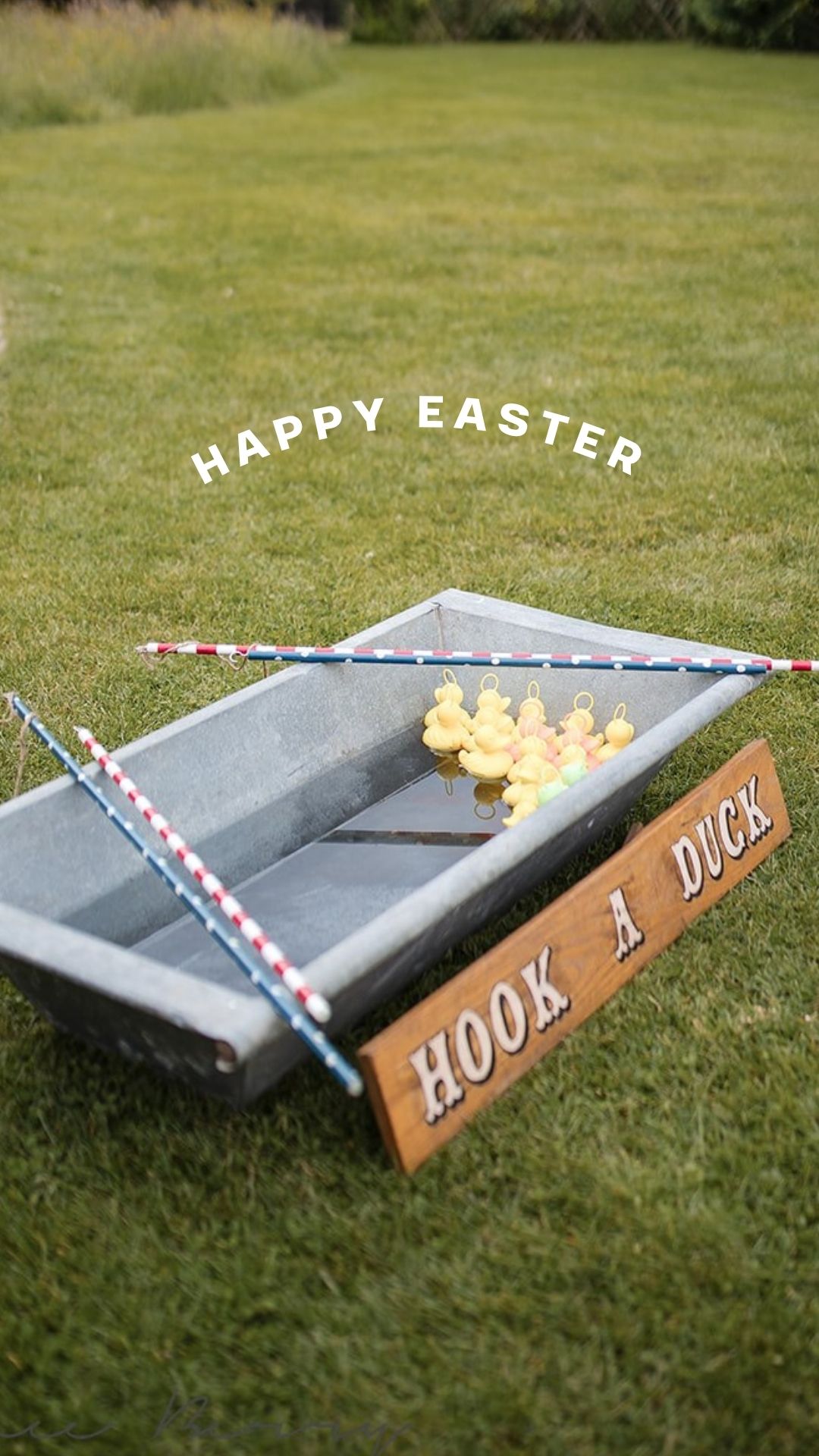 Wishing everyone a Happy Easter Weekend! ⭐🐣
If you’re planning a beautiful rustic wedding for Easter 2027, why not add something a little extra to keep your guests smiling all day long? Our collection of 15 garden games is perfect for bringing people together, sparking a bit of friendly competition, and creating those unforgettable moments everyone will be talking about! 🐣
From classic favourites to unique crowd pleasers, there’s something for guests of all ages to enjoy because the best weddings are the ones where everyone gets involved. ⭐
We are based in Kent and would love to be part of your special day. Get in touch via our website to start planning the fun! 🌸
#Easterweekend2026 #Easterweddingskent #Weddingsinkent #Weddinginspokent #Finickityfayregames