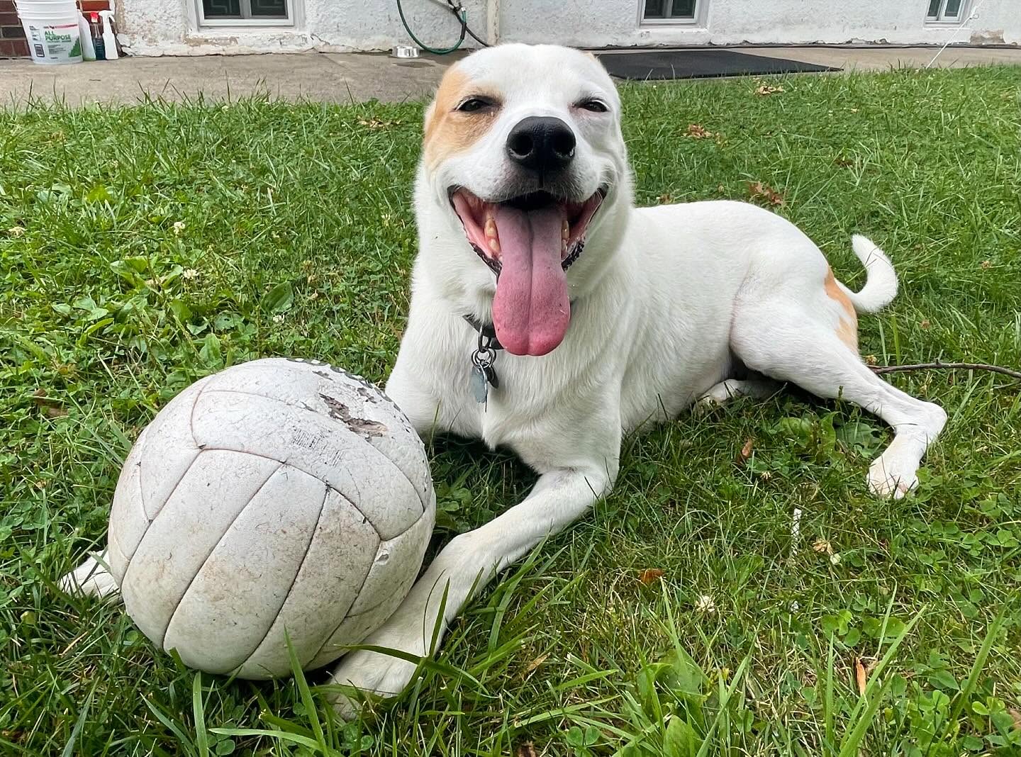Happy penny 🐾☀️