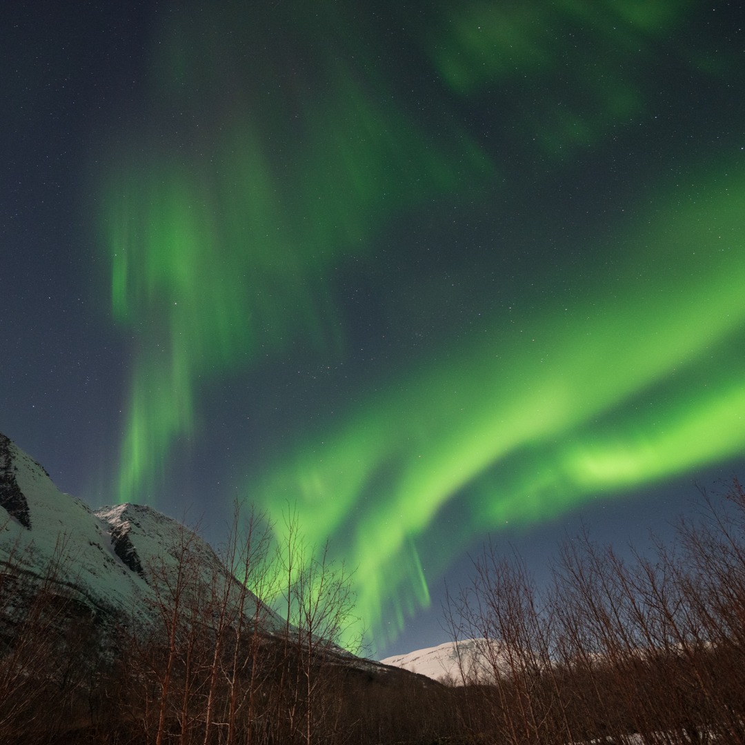 Back from Tromsø. The weather forecast wasn't looking good for the time we were there but on the last night, the skies cleared and the Valkyries took flight in spectacular fashion 😵💫. Thanks to our guide Angel; we said we needed luck and we sure got it!
@arcticexplorersnorway #northernlights #aurora #auroraborealis #visitnorway #tromso #arcticexplorers #arcticadventure #aurorachase #northernlightstour #wintermagic #auroraseason #tromsonorway #travelbucketlist #arctictravel