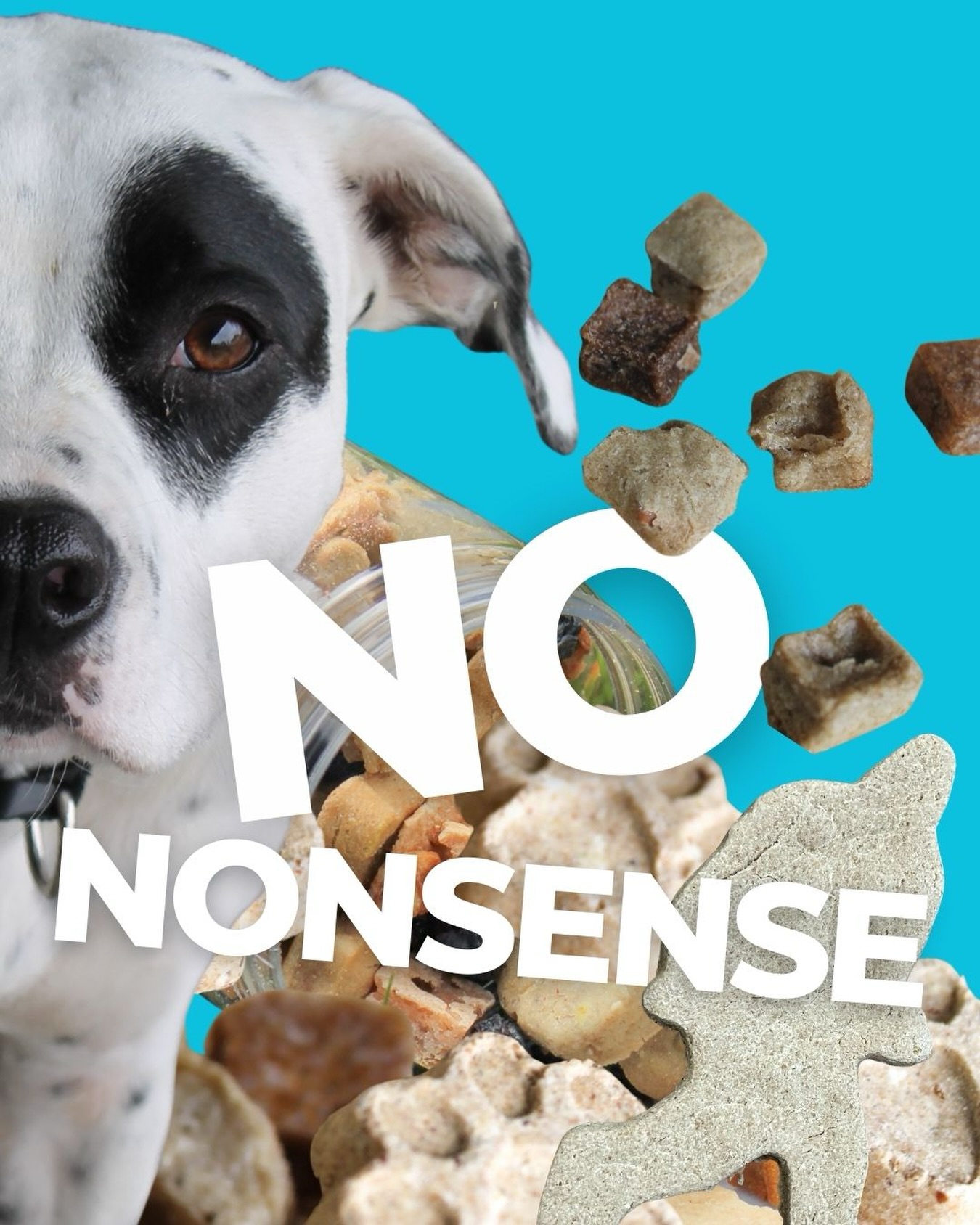 Because your best friend deserves the best, we keep our ingredients simple with NO nonsense. 🐾
Meet Nike 🐶
One of our trusted taste and quality testers here at Bucho’s Barkery. If a treat doesn’t pass her sniff test…it doesn’t make the cut.
Real ingredients. Only the good stuff. That’s how we do things here.
#buchosbarkery #dogbakery #spokane #pnwdog #dogtreats