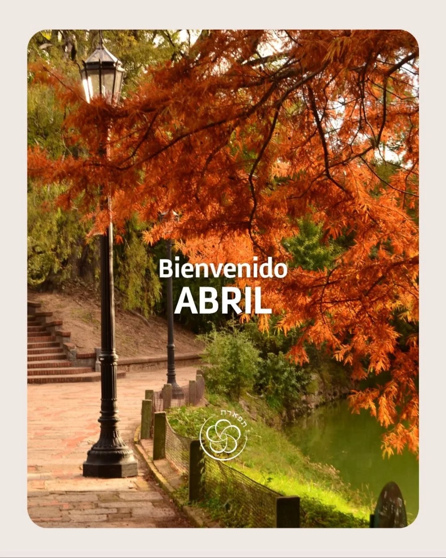 Bienvenido Abril!
El otoño se instala con su luz dorada, es el tiempo donde la naturaleza nos enseña el arte de soltar lo que ya cumplió su ciclo para proteger y nutrir lo esencial. En Tiféret, abril nos convoca a habitar ese espacio interior con la misma determinación con la que iniciamos el año, pero con la serenidad que el discernimiento requiere.
El aprendizaje es continuo, la sanación necesaria, más en estos tiempos donde parece que el tedio quiere ganarle al corazón, a la luz que hay en cada uno. Cada abrazo, cada mirada, cada gesto de amor cuenta. Esa es nuestra firme convicción, por ello los invitamos a ser parte desde dónde estés, haciendo lo que haces.
También la invitación es a seguir creando comunidad: habitando las actividades, compartiendo sus procesos y también haciendo circular la palabra en nuestras redes. Sus comentarios, sus impresiones y sus "me gusta" son el impulso que permite a nuestro círculo crecer y expandirse hacia quienes buscan este mismo camino de conciencia.
Le damos la bienvenida al mes y les compartimos el cronograma de actividades que darán vida a nuestra comunidad en las próximas semanas.
Un cálido abrazo,
Equipo Tiféret 🍂🧡
Actividades mensuales:
REGISTROS AKÁSHICOS
Más info: +598 99 186 253 @humana.arbol
SATSANG - MÁS ALLÁ DE LA MENTE
Info: +598 96 864 661 / @satyaprem.uruguay /@satyaprem
CONSTELACIONES FAMILIARES
Más info: +598 98 535 870 /@constelaciones.familiares.uy
EL JUEGO DE LA CREACIÓN
Info: 094 605 607 - 092 648 044
EL ARTE DE DETENERSE - BAÑO DE GONG
Más info: 098 232 632 / @ruma_sanare
CÍRCULO SAGRADO
Más info: +598 98 661 655
RINCÓN DE LECTURA
Info: 092 648 044
CALMA FINANCIERA
Info: 097 933 888
CALIBRA
Más info: 099 799 744 ~ @irina.sbaglia
CÍRCULO PARA JÓVENES
Info: 098 861 618 - @felimazas @joaquibertoletti
@juan_manuel_vermaak
@virgimtnzt
TABLERO DE VISIÓN
Contacto: 099 630 151 - @negra.espiritual
¡Les esperamos con mucho cariño!
Un cálido abrazo,
Equipo Tiféret 🧡