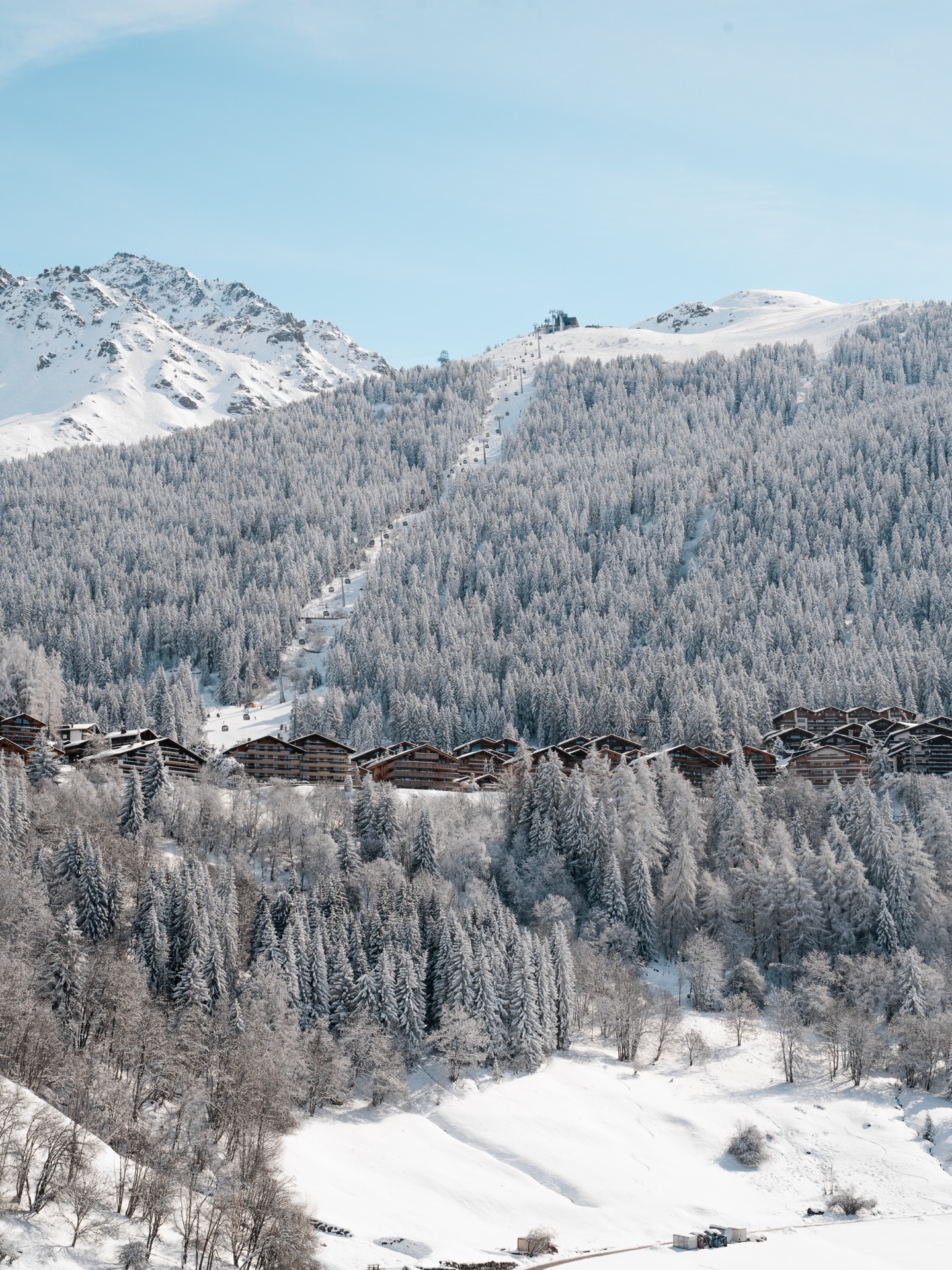 What an epic weekend in @verbier, ideal for the @freerideworldtour ! Our team set up stations across the village to sort, organise, and manage waste daily, wrapping up with a smooth pack down on Monday.
With VG Event Management, every item is sorted and separated for maximum recycling and minimal waste.
Photos by @luciaharrison