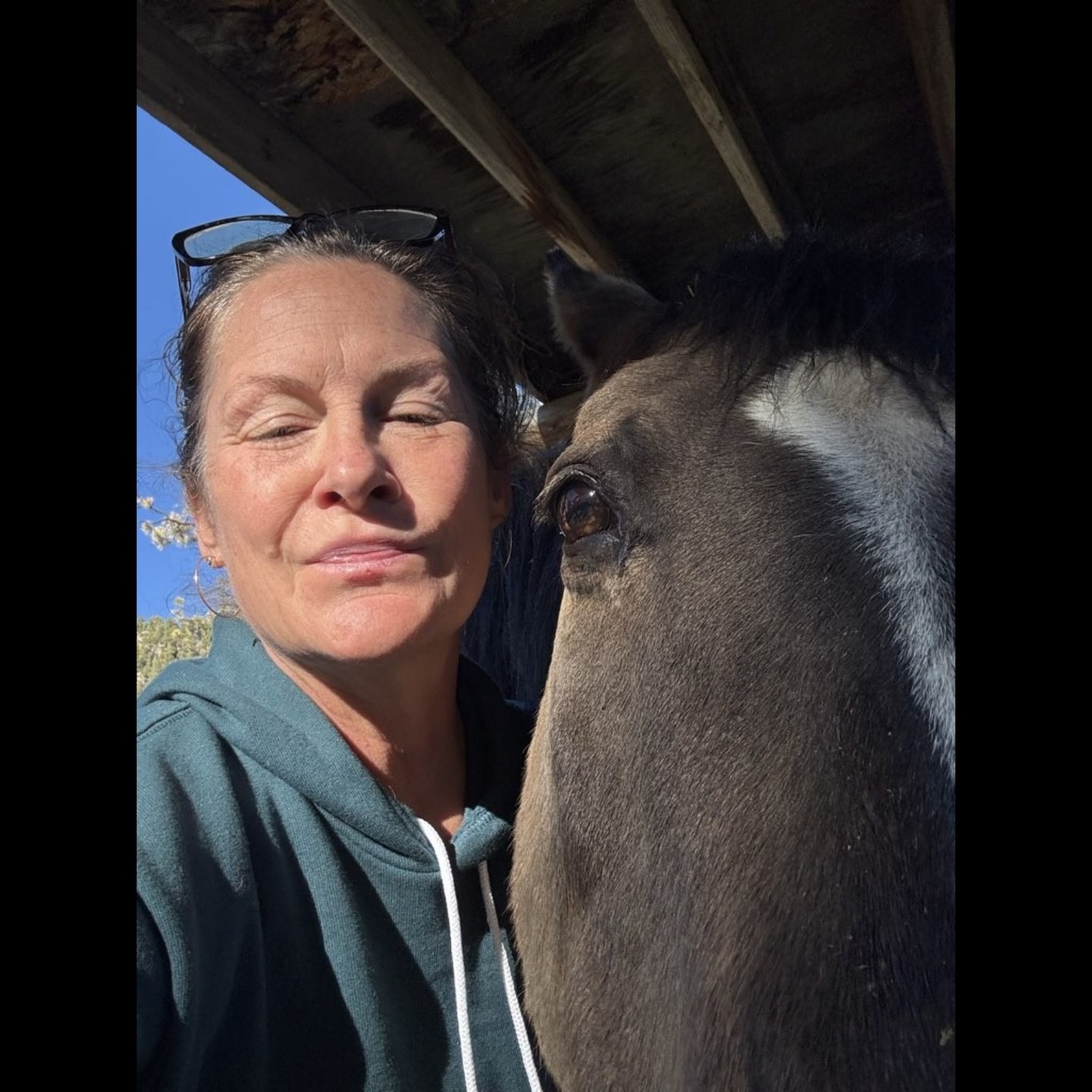 Welcome to the herd, @Kristy Frei Canaday! We are so happy to have you with us. 🐴🩵
#WoofHoofMew #petsitting #petsitter #petcare #coloradohorses