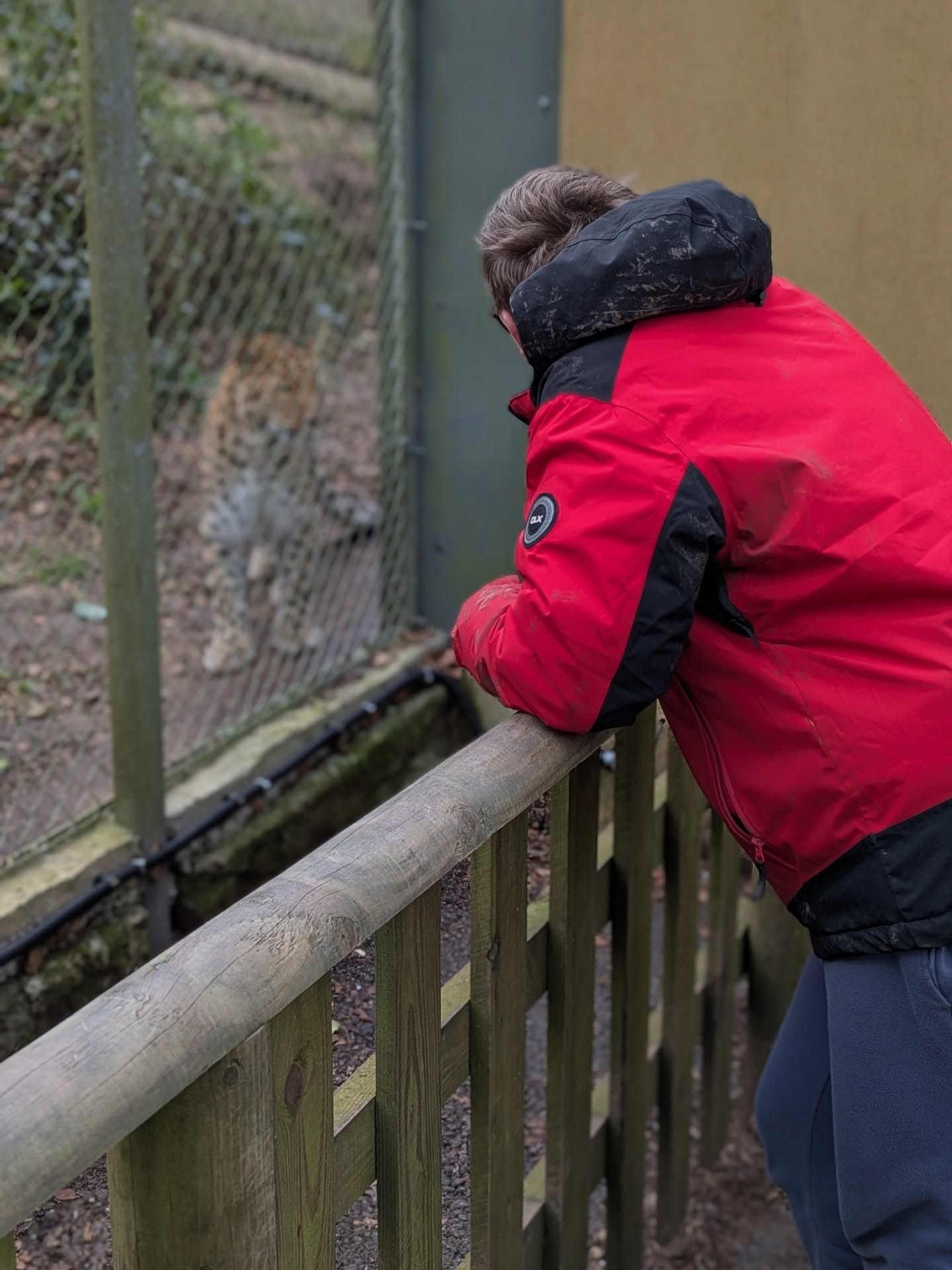 We are very grateful for the strong relationship we have with @dartmoorzoo
There is fantastic education around similar animal husbandry and breeding programmes with indigenous animals such as our Dartmoor Ponies and Zoological animals such as the Jaguar.
Creating conservation awareness is very important to our program
#moortolife #dartmoorzoo #animalhusbandry