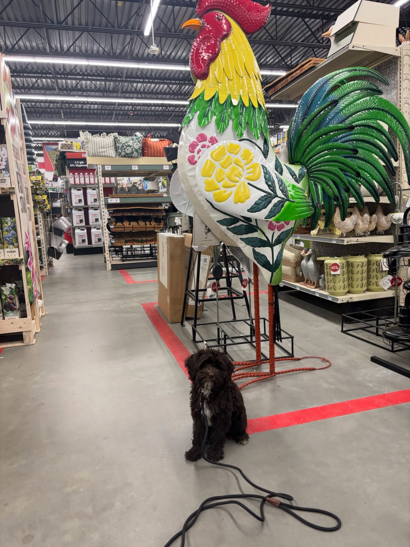 One of these things is not like the other. 🍗👀