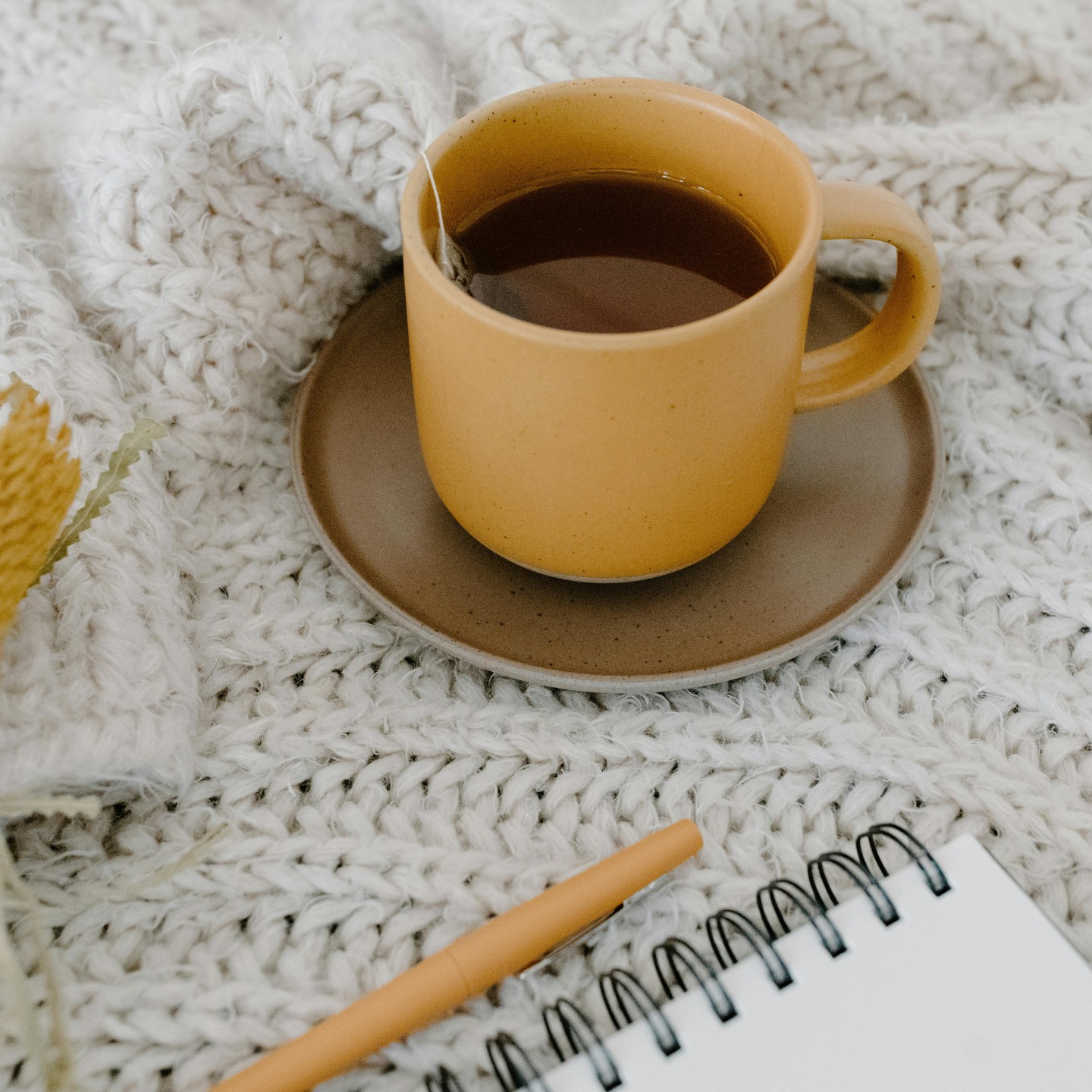 Ikigai is a beautiful concept — the reason you get up in the morning. It lives at the intersection of what you love, what you are good at, what the world needs, and what you can be paid for.
But here is something I have found to be true: clarity does not always come from striving. Often, it comes from stillness.
Take a quiet moment today and sit with these questions. Not to rush the answers, but to gently uncover what is already within you:
• When do I feel most alive in my work?
• Whose lives do I hope to change or touch?
• What part of my story do I feel called to share next?
• If I had no fear, what would I create or offer this year?
There is no pressure to have it all figured out. This is an invitation — to listen, to reflect, and to trust that your path is unfolding in its own time.
Sometimes the smallest moments of honesty lead to the clearest sense of direction.
What is one answer that surprised you?