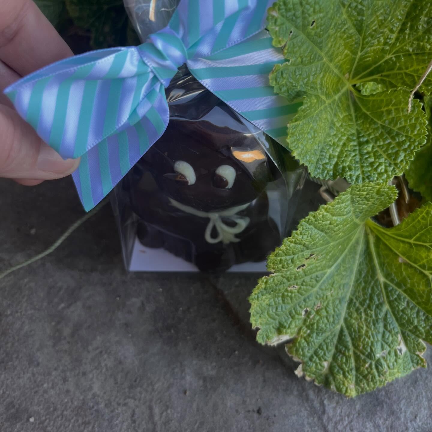 Happy Easter!
We hope you had a beautiful Easter Day with your family and loved ones!
Here are some Stargazer egg hunt pictures for you! Tag us in your pictures!
And if you celebrate this coming Sunday, be sure to stop by for a few treats!
#easter #easterchocolate #stargazerfinechocolatesandcoffeebar #denverchocolate #denversmallbusiness