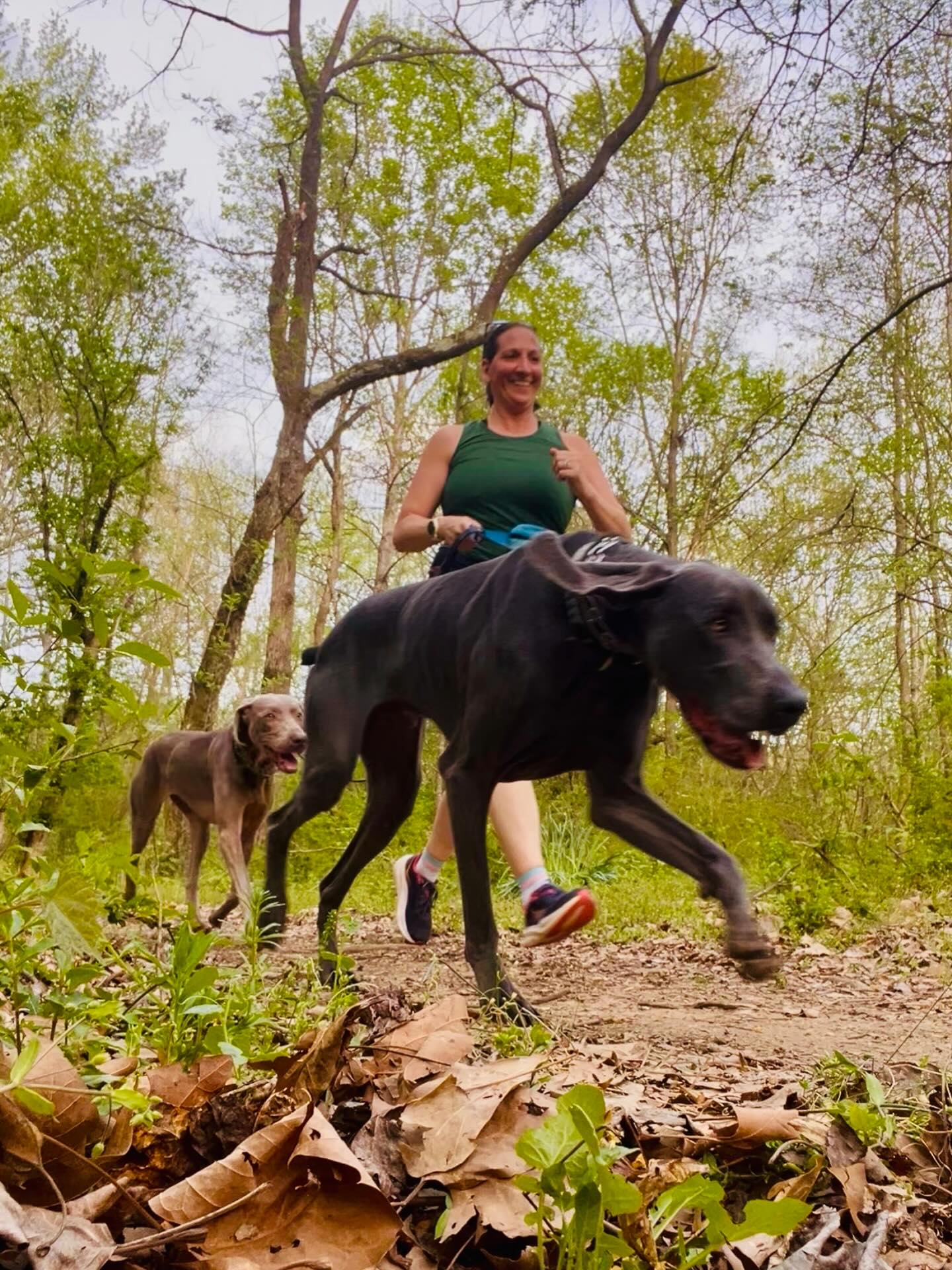 My running definitely doesn’t look like it used to, but I love every step I get to take. What a beautiful day to run on the trails with these two crazy pups.