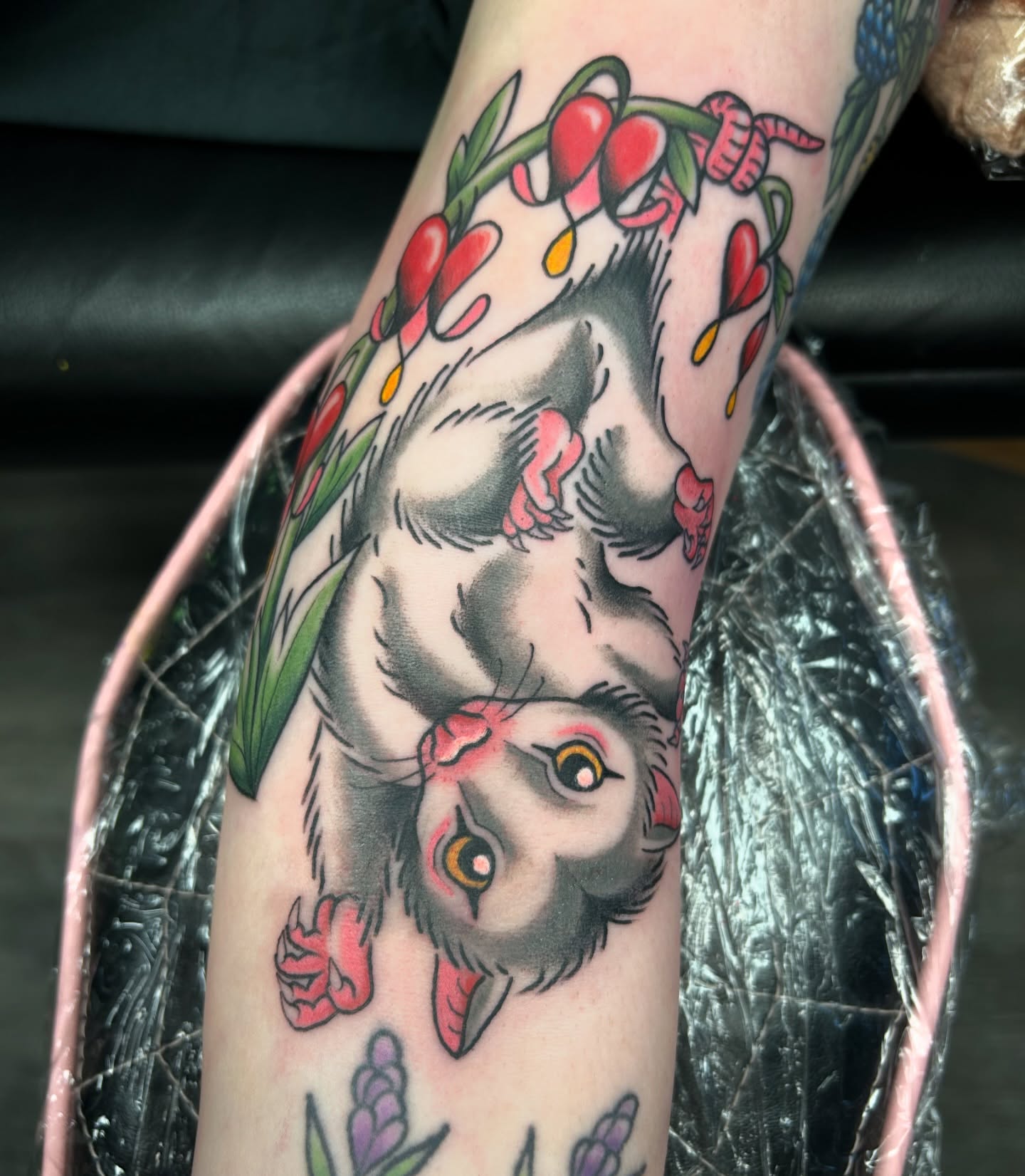 🩷 Just a cutie lil possum hanging from some bleeding hearts for @avocado_socks_ ! I also got healed pics of a few other tattoos I did on Amethyst, thank you so much!!! 🩷
.
.
.
#possumtattoo #animaltattoo #traditionaltattoo #bleedingheartflower #pghtattooer