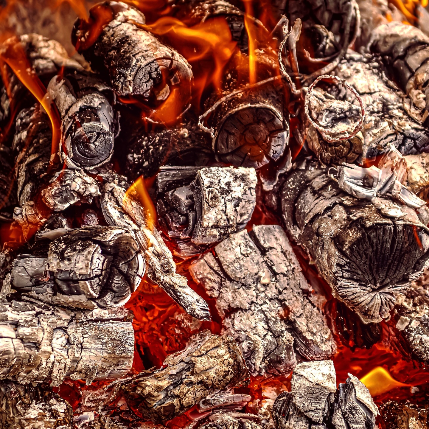 Cette semaine, j’ai marché pieds nus dans la neige. J’ai transpiré dans un sauna, respiré dans un hammam, laissé une douche de neige me traverser… et ça m’a rappelé toutes les autres fois.
J’ai marché sur le feu. Du charbon ardent avec Gérard Moccetti, un homme qui accompagne depuis plus de 30 ans des personnes à traverser le feu, littéralement. On se préparait mentalement pendant que l’immense feu brûlait dehors. On a marché pieds nus, plusieurs passages et aucune blessure. Parce que marcher sur le feu, c’est d’abord traverser ce que la tête construit comme impossible.
J’ai testé la méthode Wim Hof. La respiration, le froid, l’engagement. Apprendre que le corps est capable de bien plus que ce qu’on lui autorise habituellement. Et surtout je me souviens de cette sensation de relâchement au bout d’une minute. Mes épaules.
J’ai récemment testé le sauna et le bain dans le lac en plein hiver. L’eau noire, tellement froide que ça me brûlait, me figeait.
Chaud, froid, feu, glace. Des expériences radicalement différentes avec un point commun : il y a toujours un moment où le corps dit non et où tu décides d’y aller quand même.
Ce moment de décision. Tu places tes pieds, tes mains, tu choisis ta trajectoire et tu avances, confiant•e dans ce que ton corps sait faire.
L’inconfort ne disparaît pas.
C’est ton rapport à lui qui change.
❄️🔥