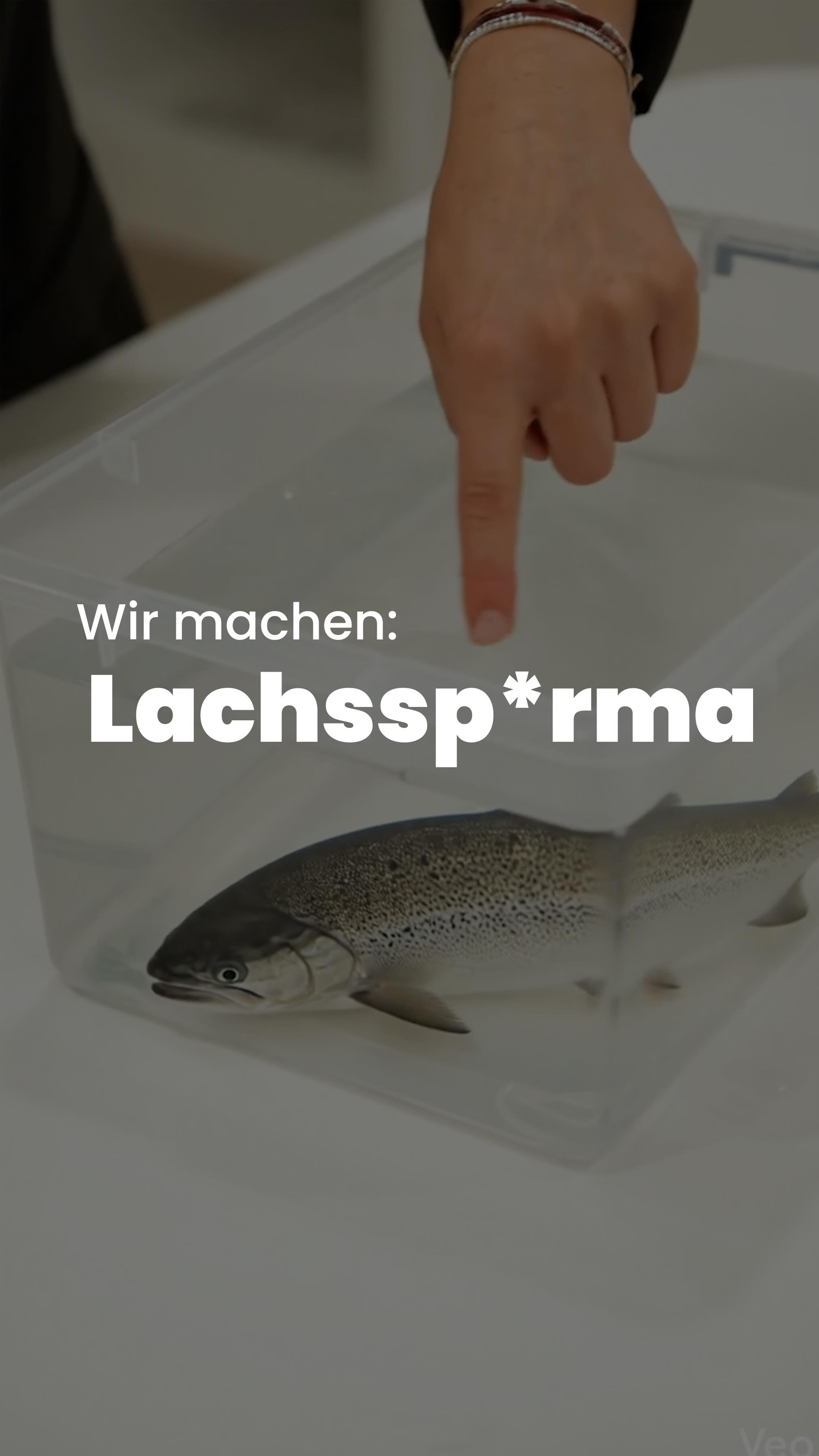 Lachssperma-Behandlung mal anders? Aber bitte mit Humor nehmen! 🙂
Tatsächlich geht es hier nicht um Sperma im klassischen Sinne, sondern um hochgereinigte DNA-Bausteine (Polynukleotide), die aus Lachs gewonnen werden. Diese werden aufbereitet und für medizinisch-ästhetische Anwendungen nutzbar gemacht. Diese werden gezielt in die Haut injiziert und unterstützen die Regeneration auf Zellebene. Sie fördern die Hautqualität, verbessern die Elastizität und sorgen für ein frischeres, strahlenderes Hautbild.
Kurz gesagt: Hightech-Wirkstoff statt gewöhnlicher Pflege mit überraschendem Ursprung.
Eure Fachärztin Fr. Ludewig
#lachssperma #prdn #polynukleotide #düsseldorf