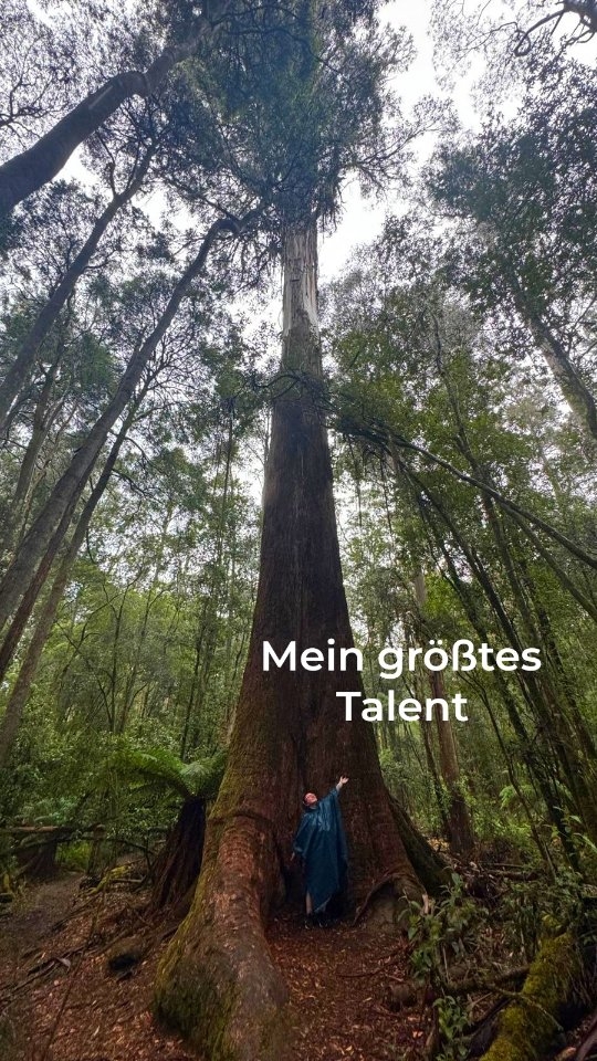 Der schönste Strand auf La Digue / Seychellen
Nach 3 Wochen Seychellen hab ich wohl für mich entdeckt, was man den schönsten Strand nennt, an dem ich je war. 📍Petite Anse Beach
Der helle, feine Sand und das leuchtend türkise Wasser sind einfach nur beeindruckend.
Wir waren komplett alleine dort, absolute Ruhe, nur das Rauschen der Wellen. Ganz perfekt wäre es noch, wenn es ein bisschen Schatten geben würde… aber ehrlich: Wie krass ist bitte dieser Beach?
➡️ Speicher dir dieses Video für deine nächste Seychellen-Reise.
Du wirst es brauchen.
Folge mir 👉 @chrissiontheroad
für echte Realität unterwegs, Reisetipps & Reiseinspiration.
#travel #beach #ocean #vacationmode #seychelles