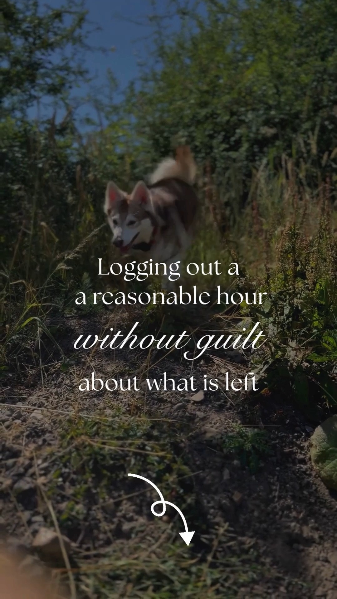 Logging out feels wrong when there is still work sitting in your inbox. Messages to reply to. Notes to finish. Admin to catch up on. Stopping before it is all done feels like leaving people waiting. So you stay logged in. Just another ten minutes. Just until you clear these last few things. Ten minutes becomes an hour. The boundary between work and rest dissolves.
Canine professionals do not clock out mentally because the work does not have a natural end point. There is always something else that could be done. Another email you could answer. Another client you could follow up with. The guilt of stopping keeps you tethered long after the working day should have finished.
Being able to log out is not about caring less. It is about knowing the work is being held even when you step away. Messages are being monitored. Urgent things are being handled. Non urgent things are being logged for tomorrow. The business keeps running because someone else is still working.
When you can close the laptop without guilt, it is because the responsibility is shared. That is what makes rest possible.
#LittleWolfCS #DogTrainerLife #CanineBusiness #WorkLifeBalance #AdminSupport