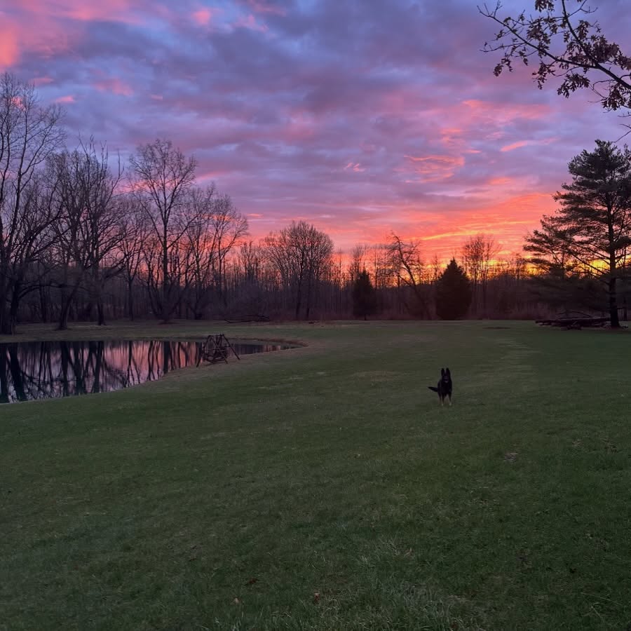 Feeling extra grateful these days. 🌅