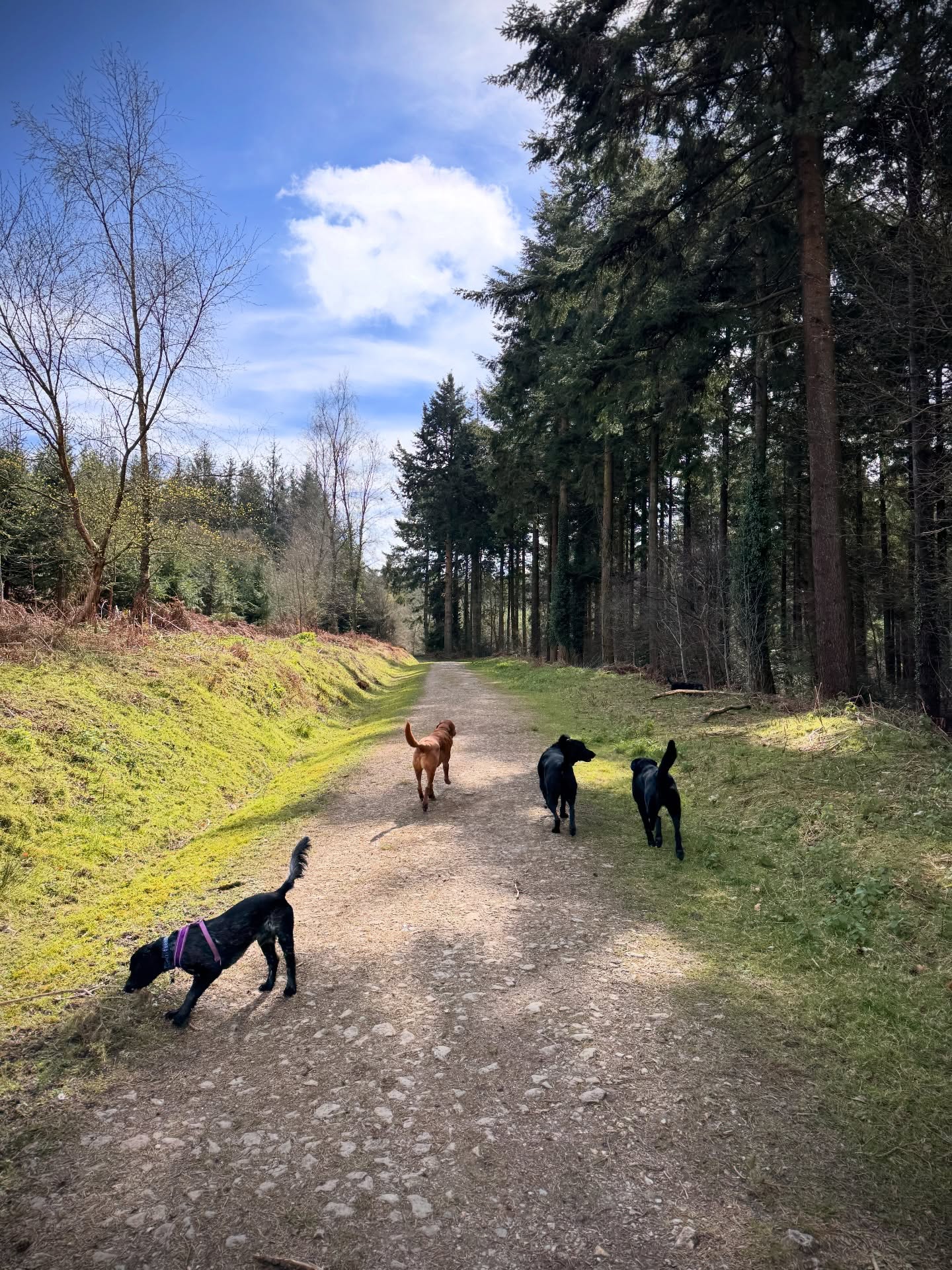 Tuesday’s full squad. We all had a great time!