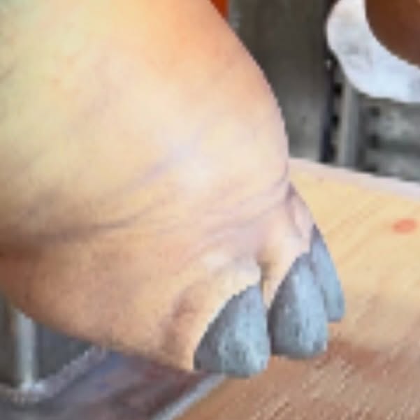 Pedicure season is upon us… Hand painting textural details on one of our secret builds for a new theme park. Reveal coming soon! 🙌
#themepark #prop #detailing #sculpture #publicart