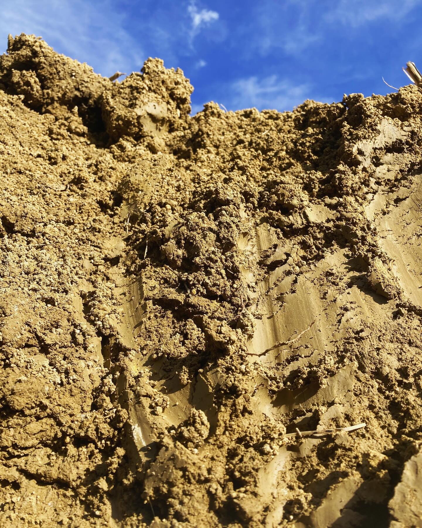 Première semaine de résidence de Kate à Bézéril pour rencontrer l’équipe de Nataïs et des agriculteurs partenaires producteurs de mais à pop-corn, dans le cadre des journées consacrées aux couverts végétaux et à l’agriculture de conservation avec Frédéric Thomas.
Cette première semaine lance de début d’un projet de 2 ans avec la commune de Samatan et Nataïs pour créer collectivement une installation audio consacrée au “Sol Vivant”.