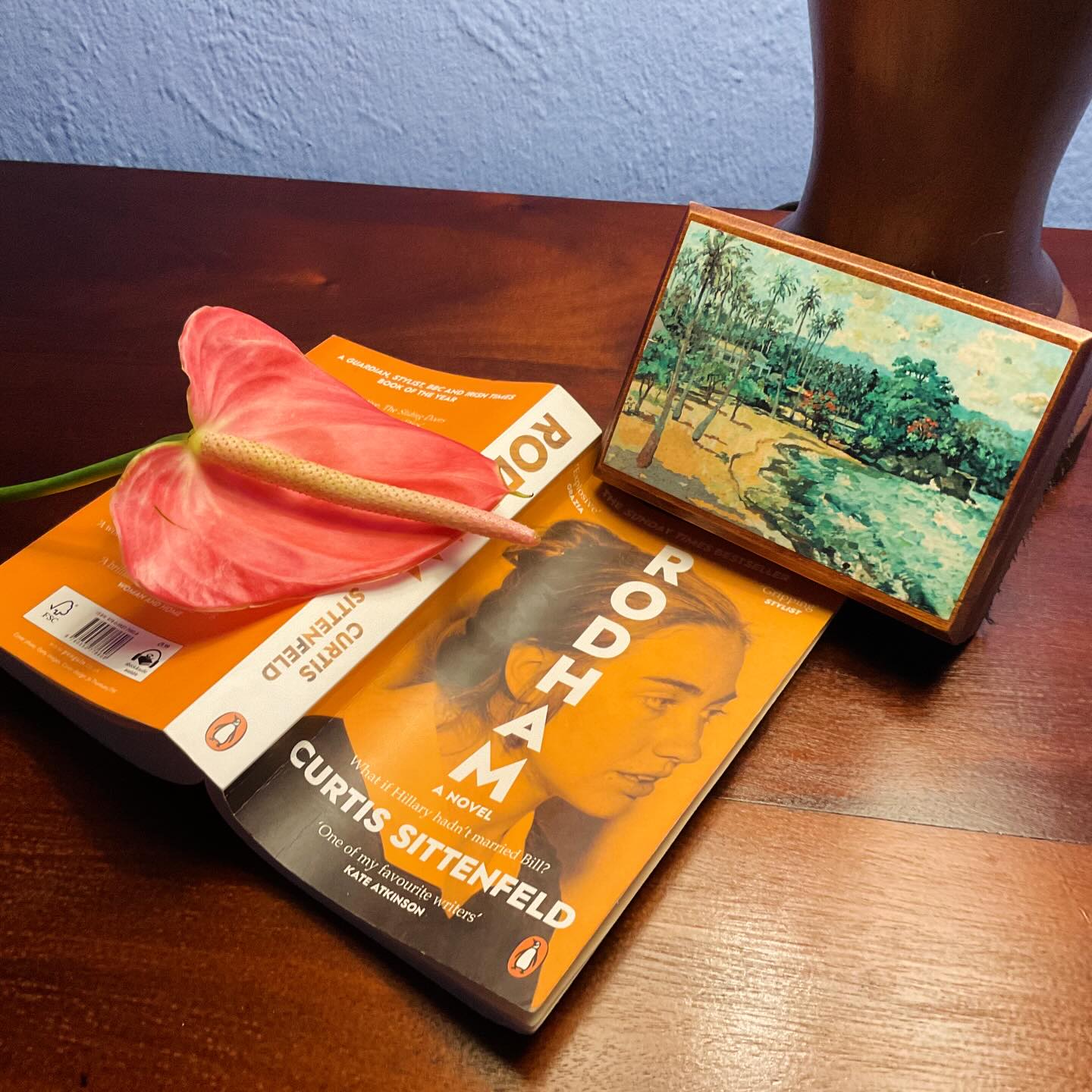 Rodham by Curtis Sittenfeld.
This is such an intriguing idea for a novel, a ‘what if’ combined with an ‘if only!’
A sliding doors scenario in political form.
It asks what the future would’ve looked like if Hillary hadn’t married Bill, and in my opinion, it certainly would’ve been rosier, allowing room not only for Hillary’s intellect, dedication to public service and morality, but would’ve still allowed room for Obama, but thankfully closed the door on Trump, and his MAGA acolytes and all that has followed in his wake.
If only…
#hillaryrodhamclinton #ifonly #fictionlover #bookish #bookrecs