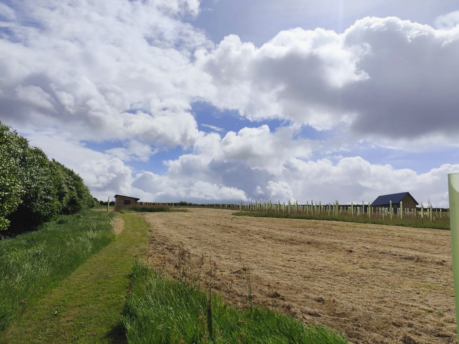 Spent the morning at Fulwood Meadow recently watching 9 bales of silage come in from about an acre of land that's been farmed regeneratively.
It's easy to talk about sustainable farming. Watching it actually work is something else.
The soil looks different. The field sounds different. More insects, more movement. It's not abstract. 🐌🦋🐝
We've been growing our own meadow at VI Rental and planting trees to offset the footprint of the kit we hire out — partly because we work with a lot of people who care about this stuff, and partly because we're based here and this is our patch.
Worth following our progress at Fulwood Meadow if you're interested in what regenerative farming actually looks like in practice, not just in concept.