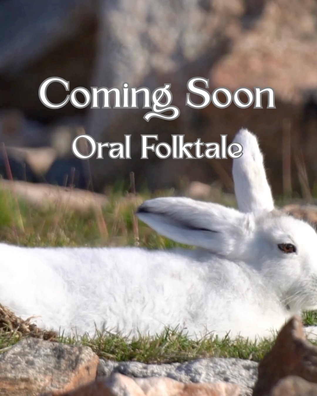 Coming Soon – Ostara and the White Hare
Have you ever wondered why the Easter Bunny brings eggs?
Rabbits and hares are mammals… and yet, each year at Easter, they arrive with gifts of eggs.
The answer lies hidden deep within an ancient and magical tale.
A story of the goddess of spring, of companionship and jealousy, of love, loss, and renewal. A tale where the turning of the seasons meets the quiet magic of the natural world.
Somewhere within this story, the mystery begins to unfold…
Told aloud, as all true stories should be. Coming soon.
#OstaraAndTheWhiteHare #OralStorytelling #SpringFolklore #NatureMythology #DannyEnglishStories