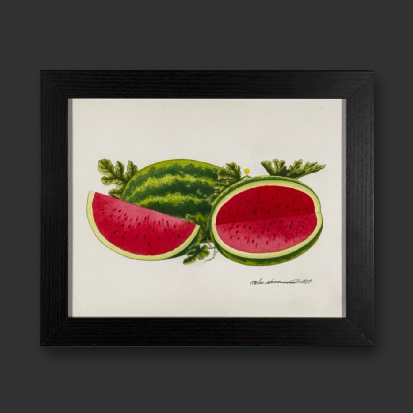 Melons d’eau © Luc Normandin 1999
Vendue!
Chicbazar.ca
.
.
.
.
.
#illustration #aquarelle #watercolor #chicbazar #forpalestine
