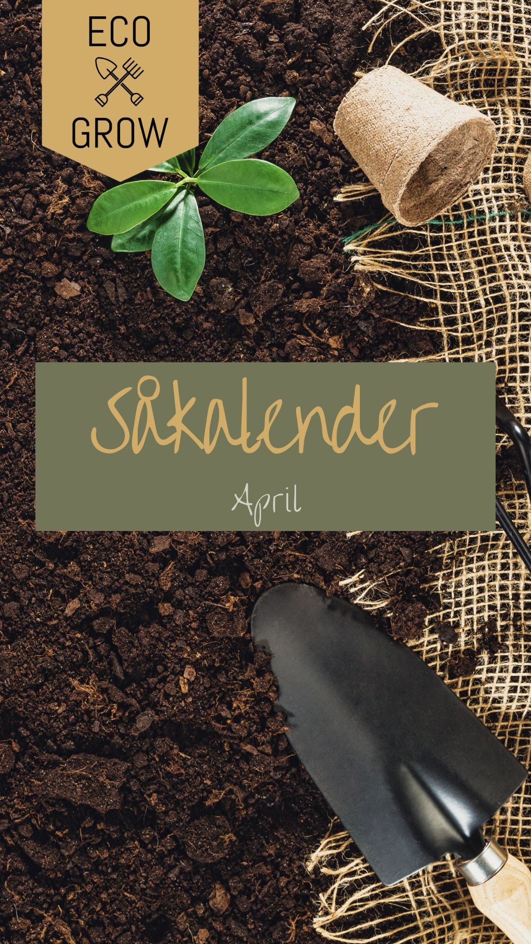 Nu är det april och odlingsäsongen drar igång ordentligt för de flesta! 🌱
Dock är det generellt varma dagar och kalla nätter, och risk för många väderbakslag så lite försiktig får man vara. Tråkigt om all ens arbete förstörs av en frostnatt. Ett tips är att hålla koll på långtidsprognoserna. Om inte annat kan man förbereda i trädgårdslandet eller pallkragarna för kommande planteringar. 🌱🌻